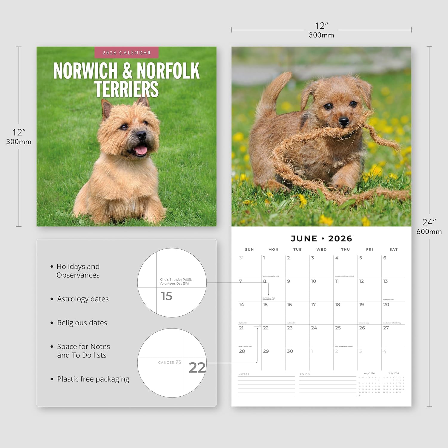 Red Robin 2026 Norwich & Norfolk Terriers Monthly Wall Calendar | 12" x 24" Open | Premium Thick & Sturdy Paper | Hangable 12 Month Calendar | Lined Notes & To Do Area | Vivid Images | Plastic Free