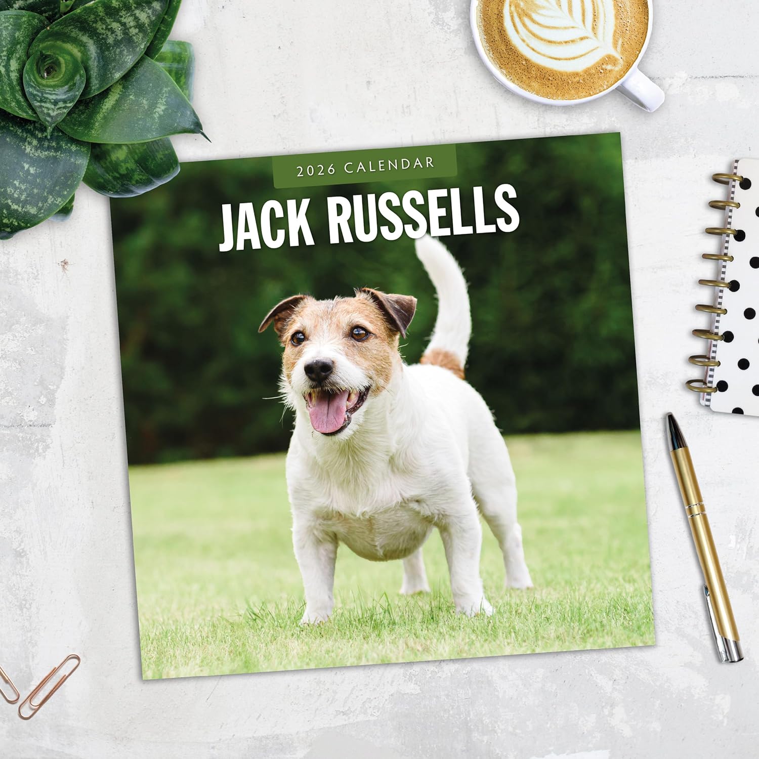 Red Robin 2026 Jack Russells Monthly Wall Calendar | 12" x 24" Open | Premium Thick & Sturdy Paper | Hangable 12 Month Calendar | Lined Notes & To Do Area | Vivid Images | Plastic Free