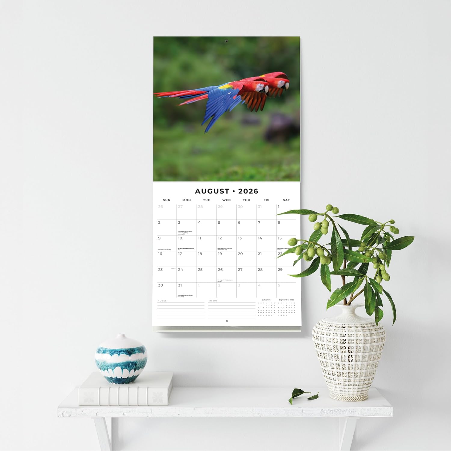 Red Robin 2026 Parrots Monthly Wall Calendar | 12" x 24" Open | Premium Thick & Sturdy Paper | Hangable 12 Month Calendar | Lined Notes & To Do Area | Vivid Images | Plastic Free
