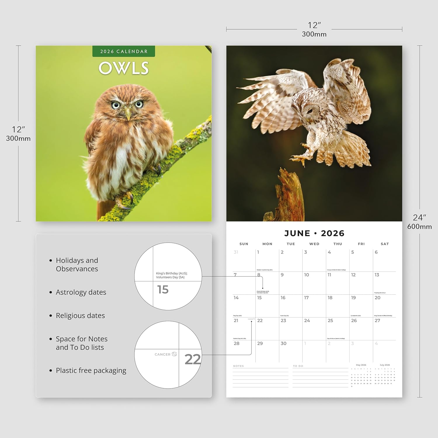 Red Robin 2026 Owls Monthly Wall Calendar | 12" x 24" Open | Premium Thick & Sturdy Paper | Hangable 12 Month Calendar | Lined Notes & To Do Area | Vivid Images | Plastic Free