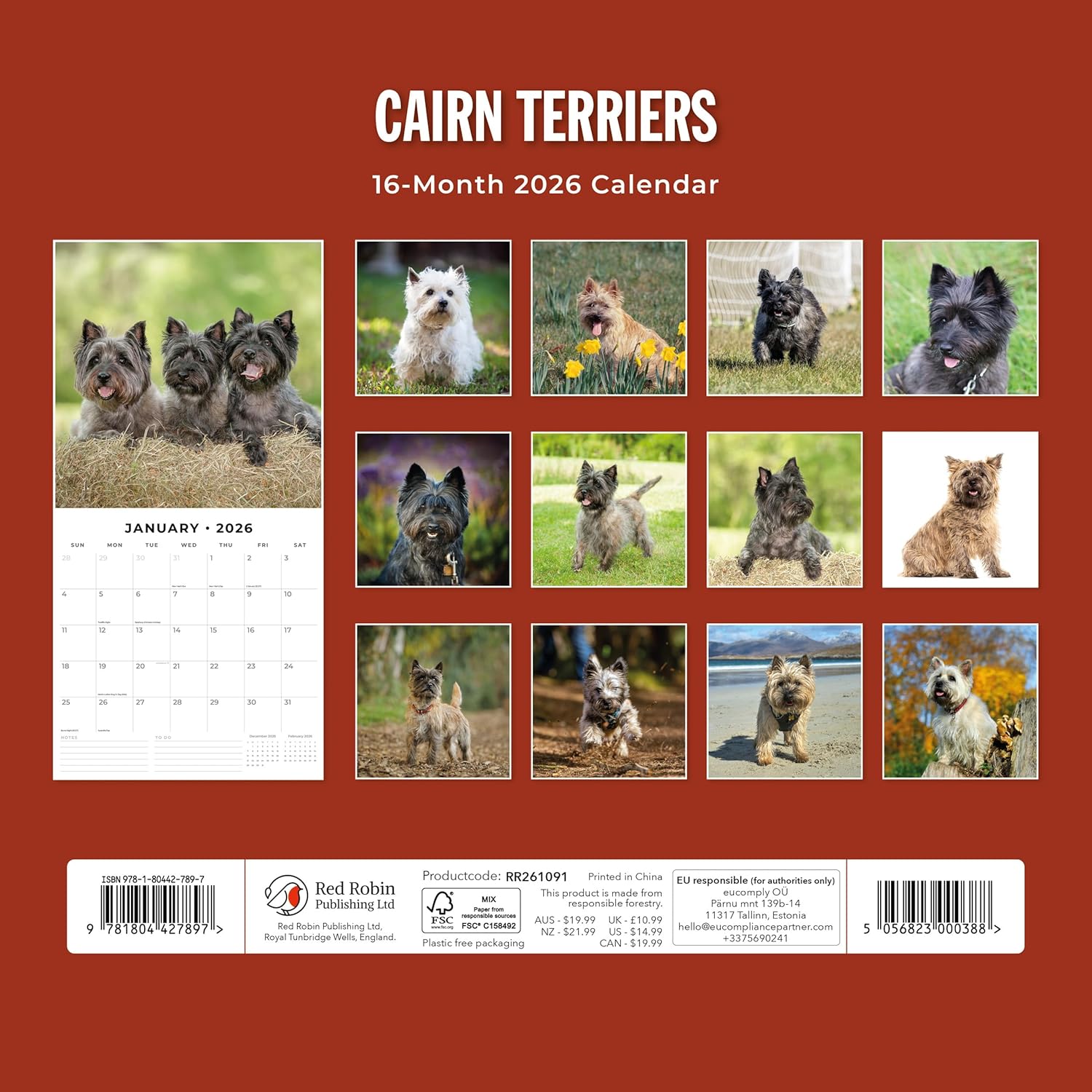 Red Robin 2026 Cairn Terriers Monthly Wall Calendar | 12" x 24" Open | Premium Thick & Sturdy Paper | Hangable 12 Month Calendar | Lined Notes & To Do Area | Vivid Images | Plastic Free