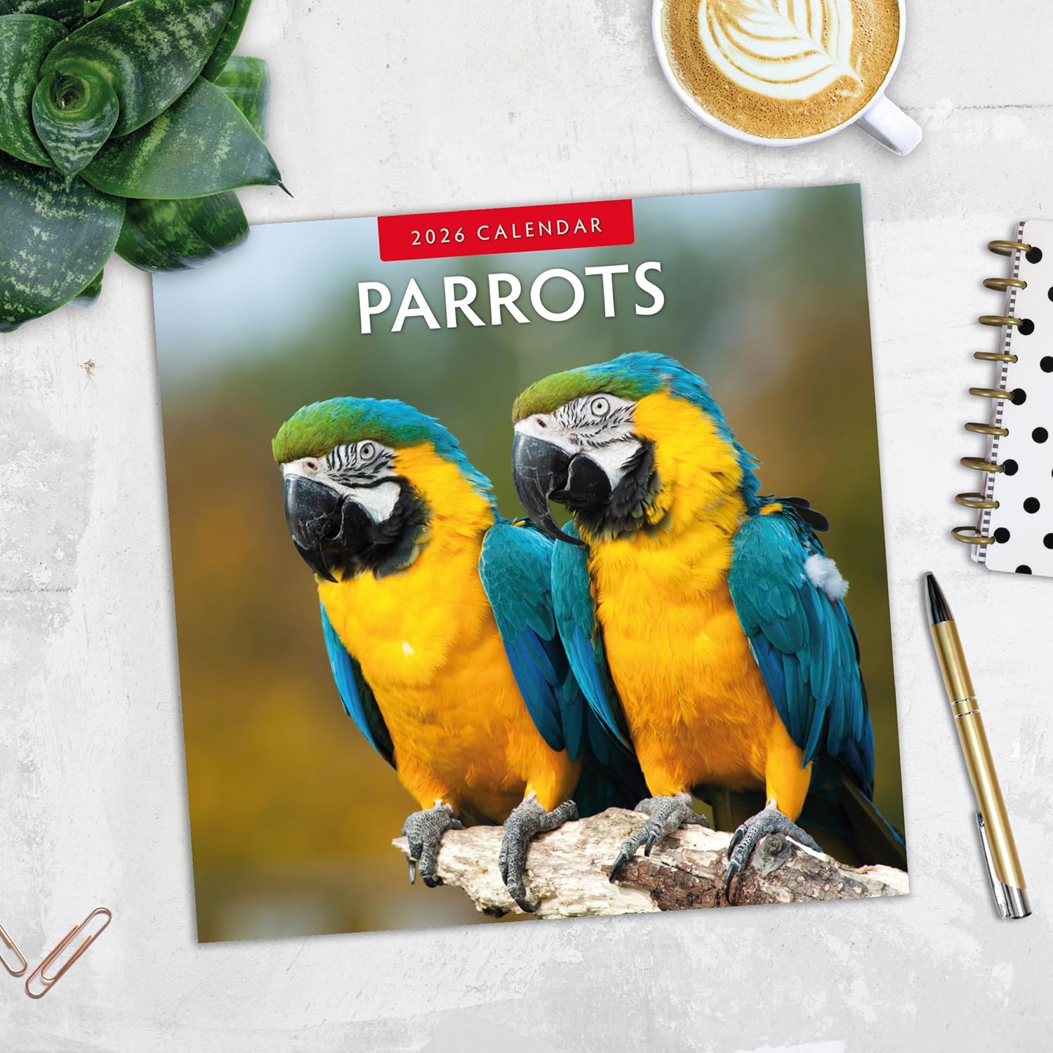 Red Robin 2026 Parrots Monthly Wall Calendar | 12" x 24" Open | Premium Thick & Sturdy Paper | Hangable 12 Month Calendar | Lined Notes & To Do Area | Vivid Images | Plastic Free