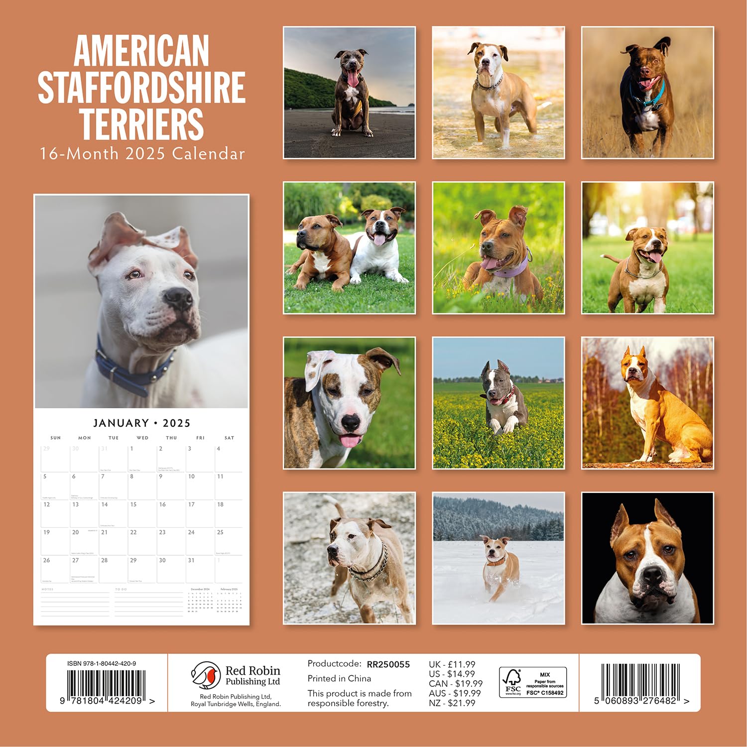 Red Robin 2025 American Staffordshire Terriers Monthly Wall Calendar | 12" x 24" Open | Premium Thick & Sturdy Paper | Hangable 12 Month Calendar | Plastic Free | 4 Month Transition Page for 2024