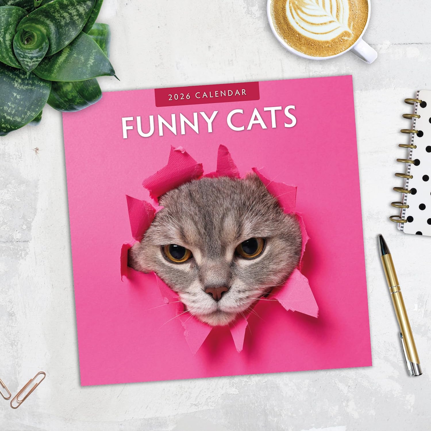 Red Robin 2026 Funny Cats Monthly Wall Calendar | 12" x 24" Open | Premium Thick & Sturdy Paper | Hangable 12 Month Calendar | Lined Notes & To Do Area | Vivid Images | Plastic Free