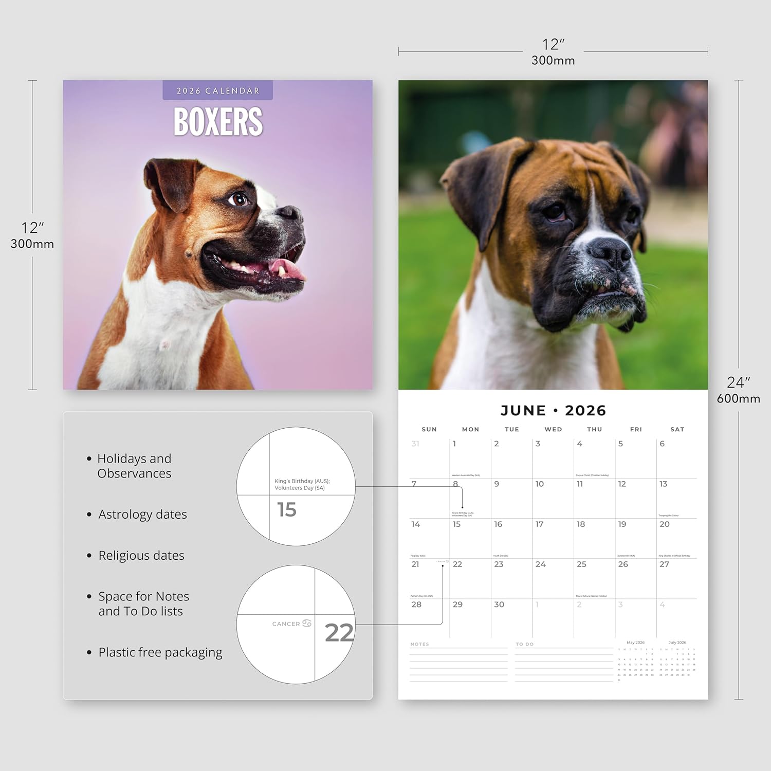 Red Robin 2026 Boxers Monthly Wall Calendar | 12" x 24" Open | Premium Thick & Sturdy Paper | Hangable 12 Month Calendar | Lined Notes & To Do Area | Vivid Images | Plastic Free