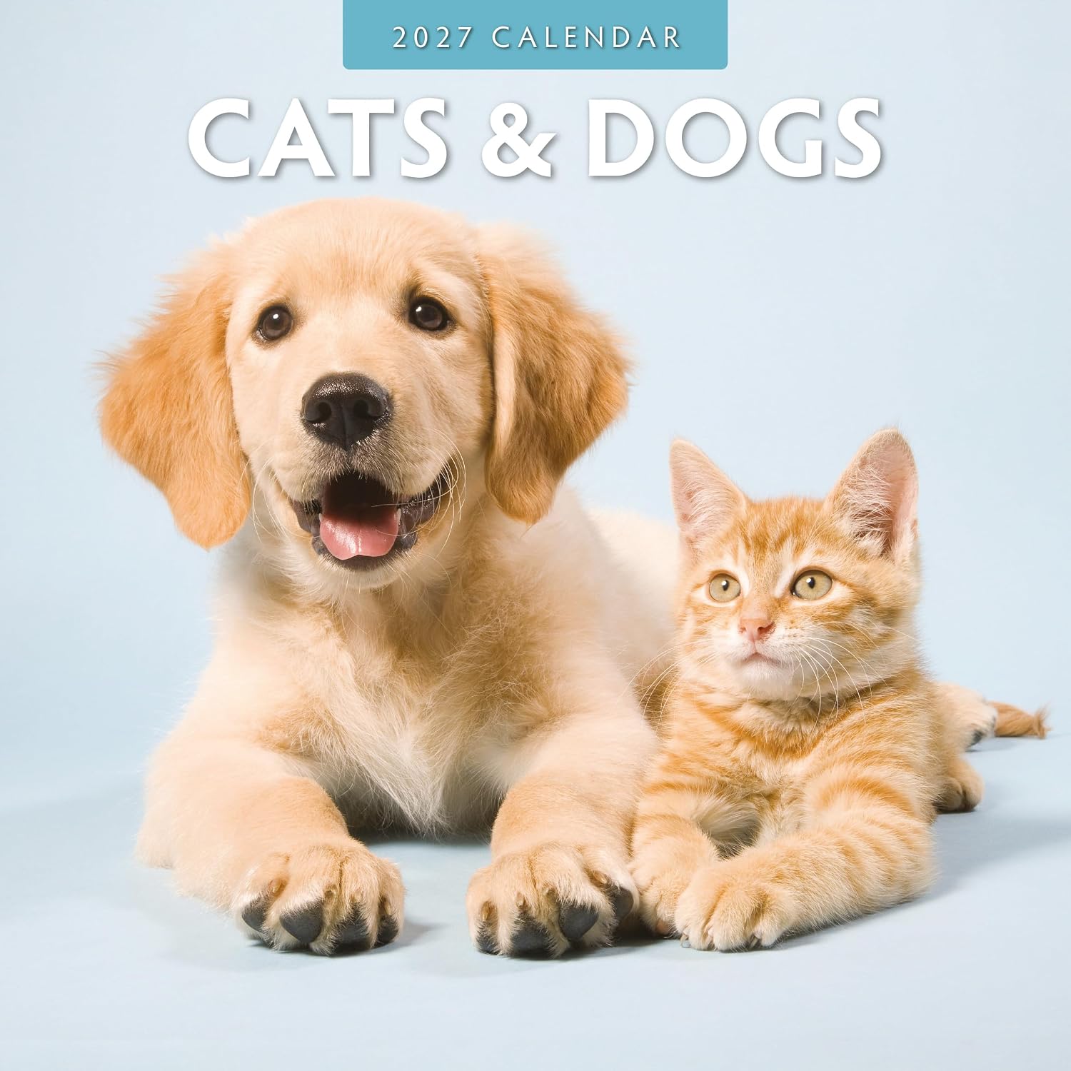 Red Robin 2027 Cats & Dogs Monthly Wall Calendar | 12" x 12"