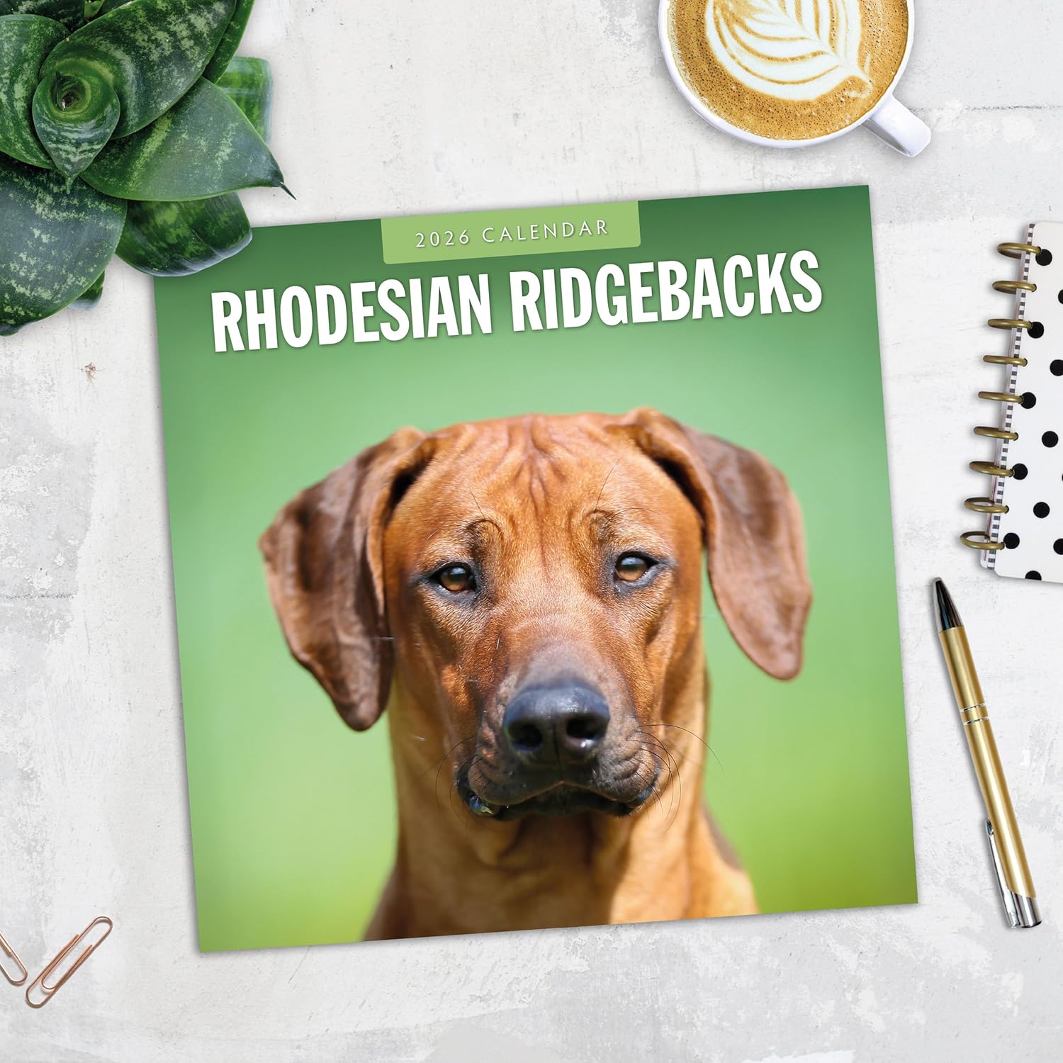 Red Robin 2026 Rhodesian Ridgebacks Monthly Wall Calendar | 12" x 24" Open | Premium Thick & Sturdy Paper | Hangable 12 Month Calendar | Lined Notes & To Do Area | Vivid Images | Plastic Free