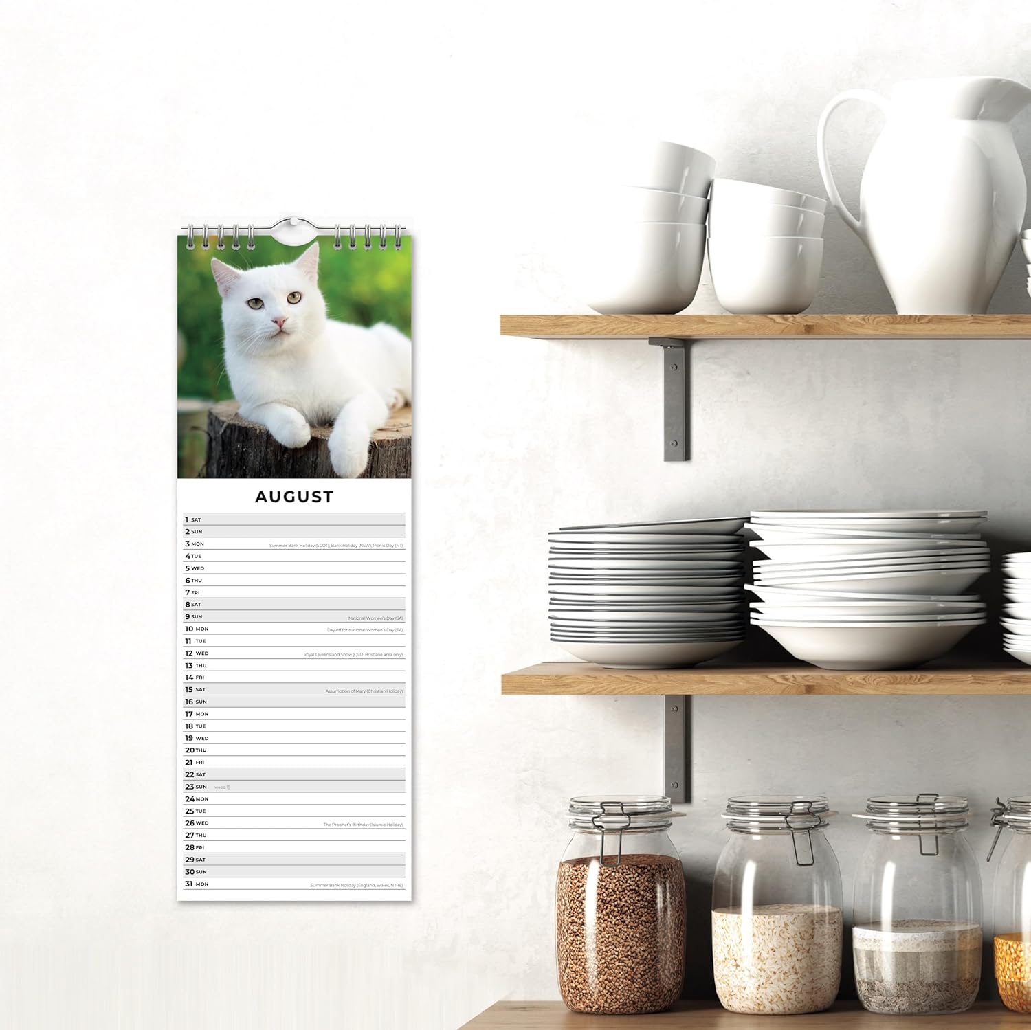 Red Robin 2026 Cats & Kittens Monthly Slim Calendar | 6" x 16" Open | Premium Thick & Sturdy Paper | Tall Hangable 12 Month Calendar | Vivid Images | Plastic Free | Wire Spiral