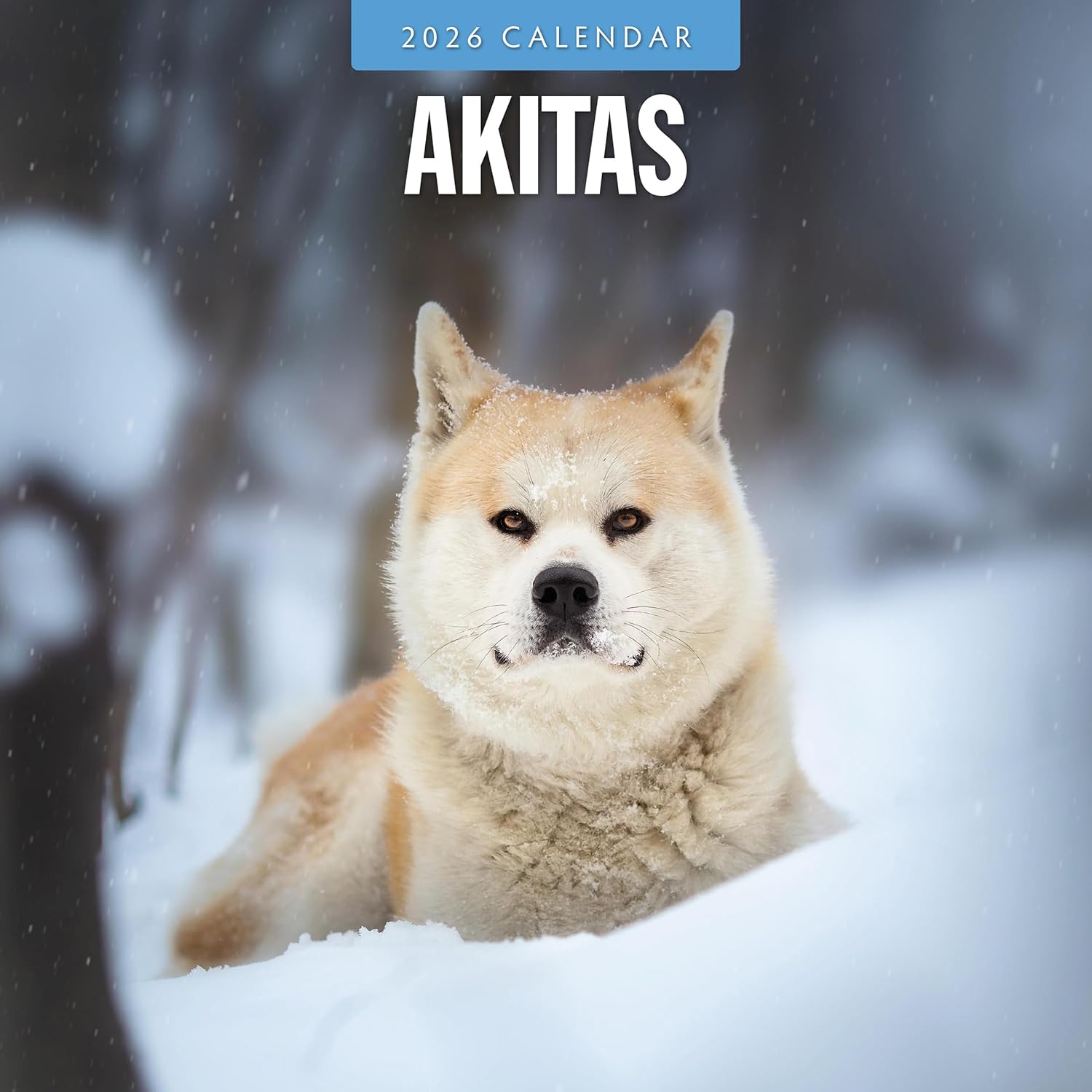 Red Robin 2026 Akitas Monthly Wall Calendar | 12" x 24" Open | Premium Thick & Sturdy Paper | Hangable 12 Month Calendar | Lined Notes & To Do Area | Vivid Images | Plastic Free