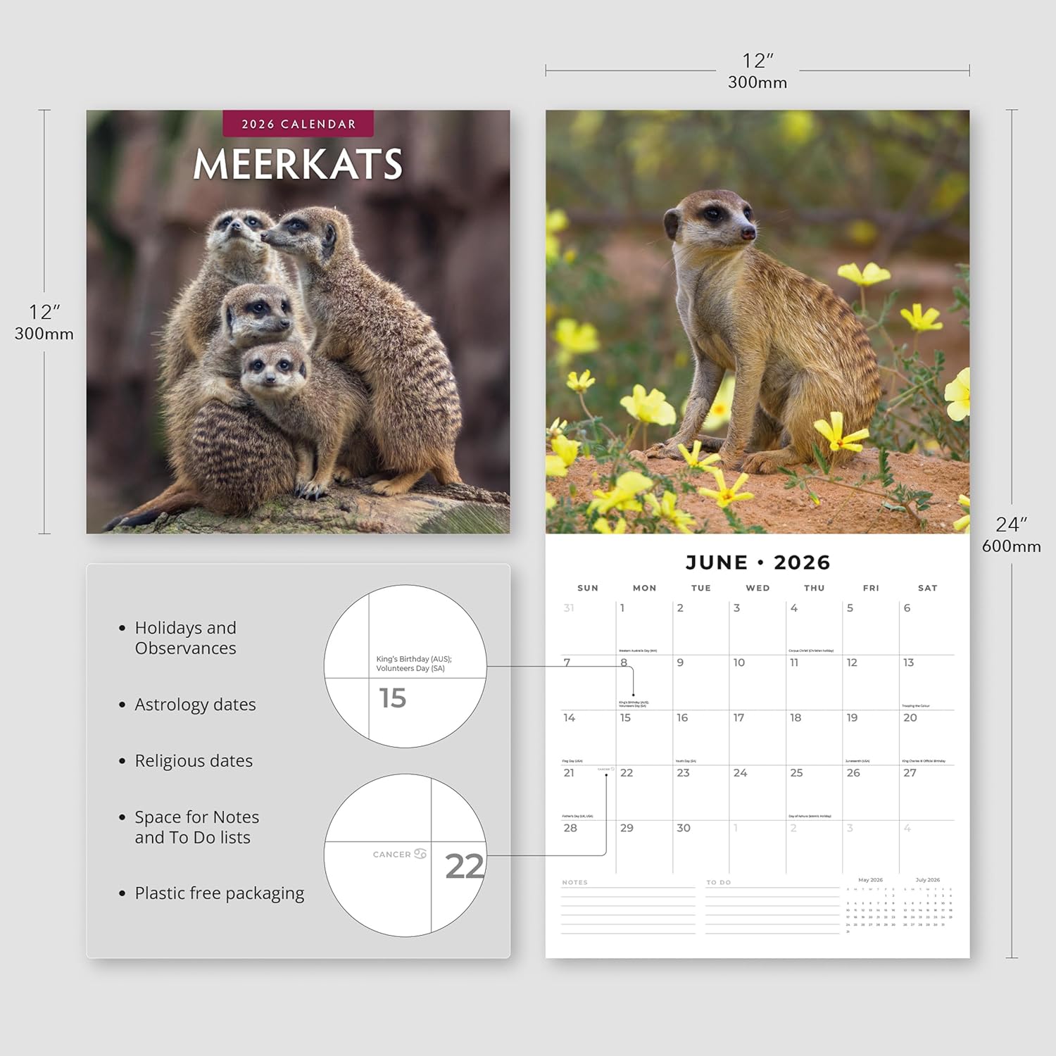 Red Robin 2026 Meerkats Monthly Wall Calendar | 12" x 24" Open | Premium Thick & Sturdy Paper | Hangable 12 Month Calendar | Lined Notes & To Do Area | Vivid Images | Plastic Free