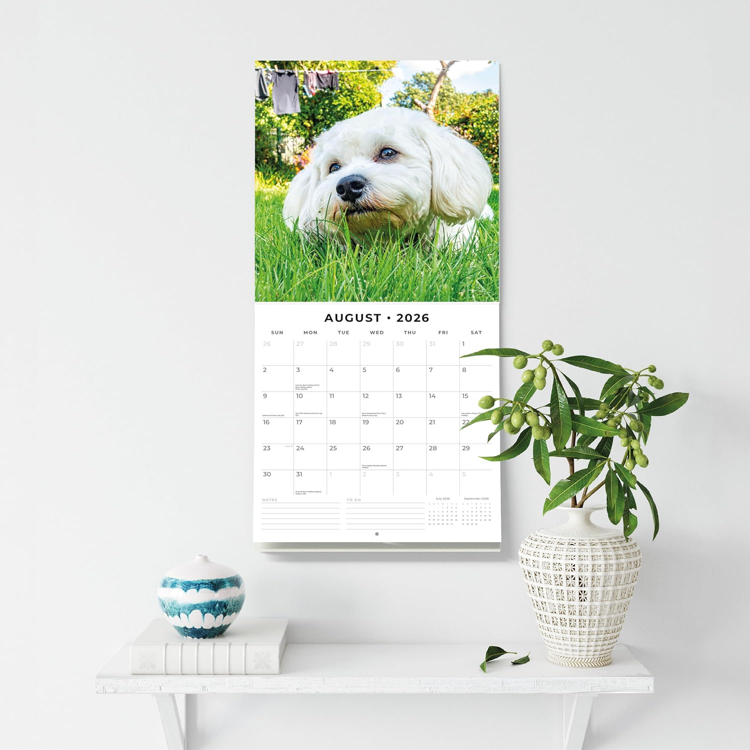 Red Robin 2026 Cavapoos Monthly Wall Calendar | 12" x 24" Open | Premium Thick & Sturdy Paper | Hangable 12 Month Calendar | Lined Notes & To Do Area | Vivid Images | Plastic Free