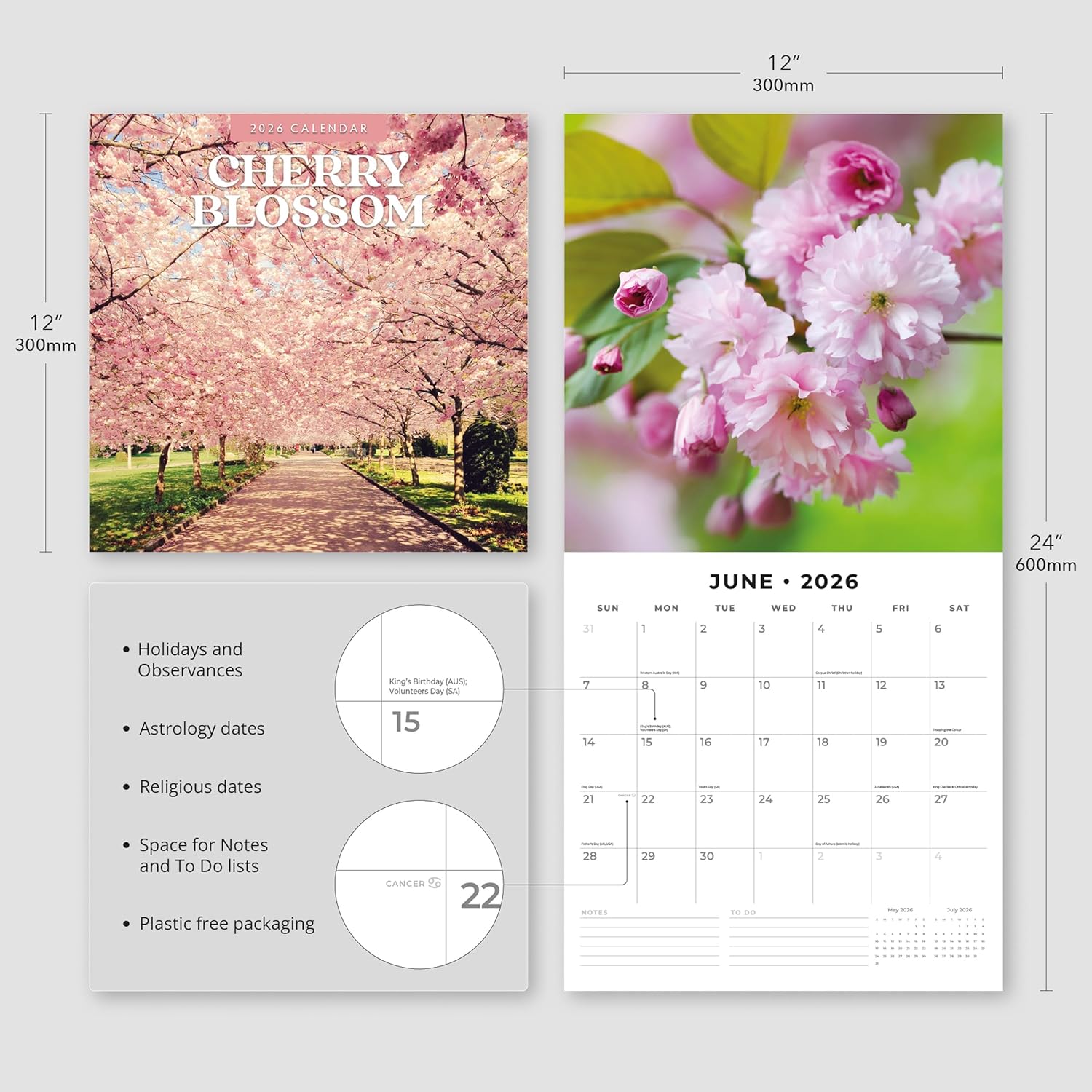 Red Robin 2026 Cherry Blossom Monthly Wall Calendar | 12" x 24" Open | Premium Thick & Sturdy Paper | Hangable 12 Month Calendar | Lined Notes & To Do Area | Vivid Images | Plastic Free