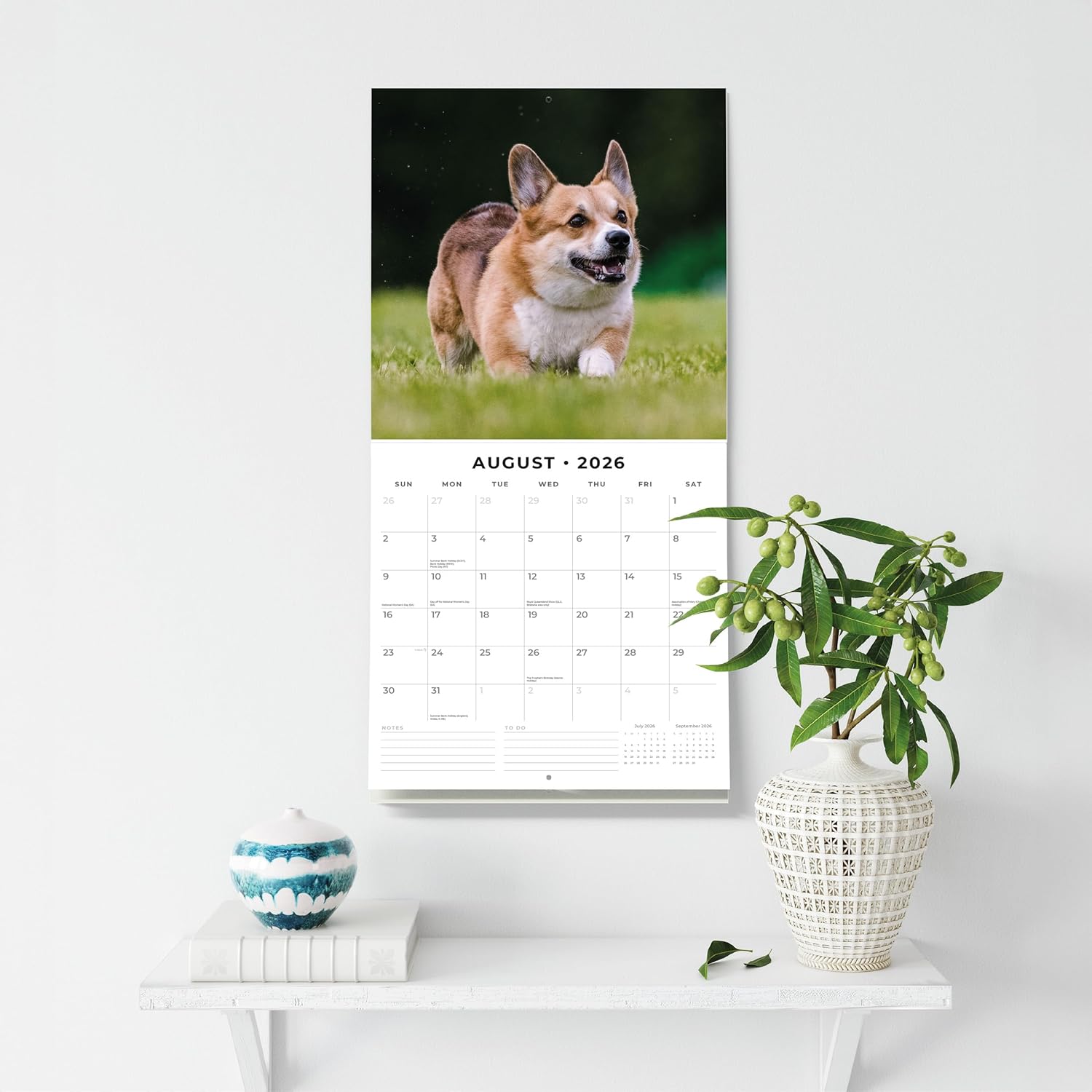 Red Robin 2026 Pembroke Welsh Corgis Monthly Wall Calendar | 12" x 24" Open | Premium Thick & Sturdy Paper | Hangable 12 Month Calendar | Lined Notes & To Do Area | Vivid Images | Plastic Free