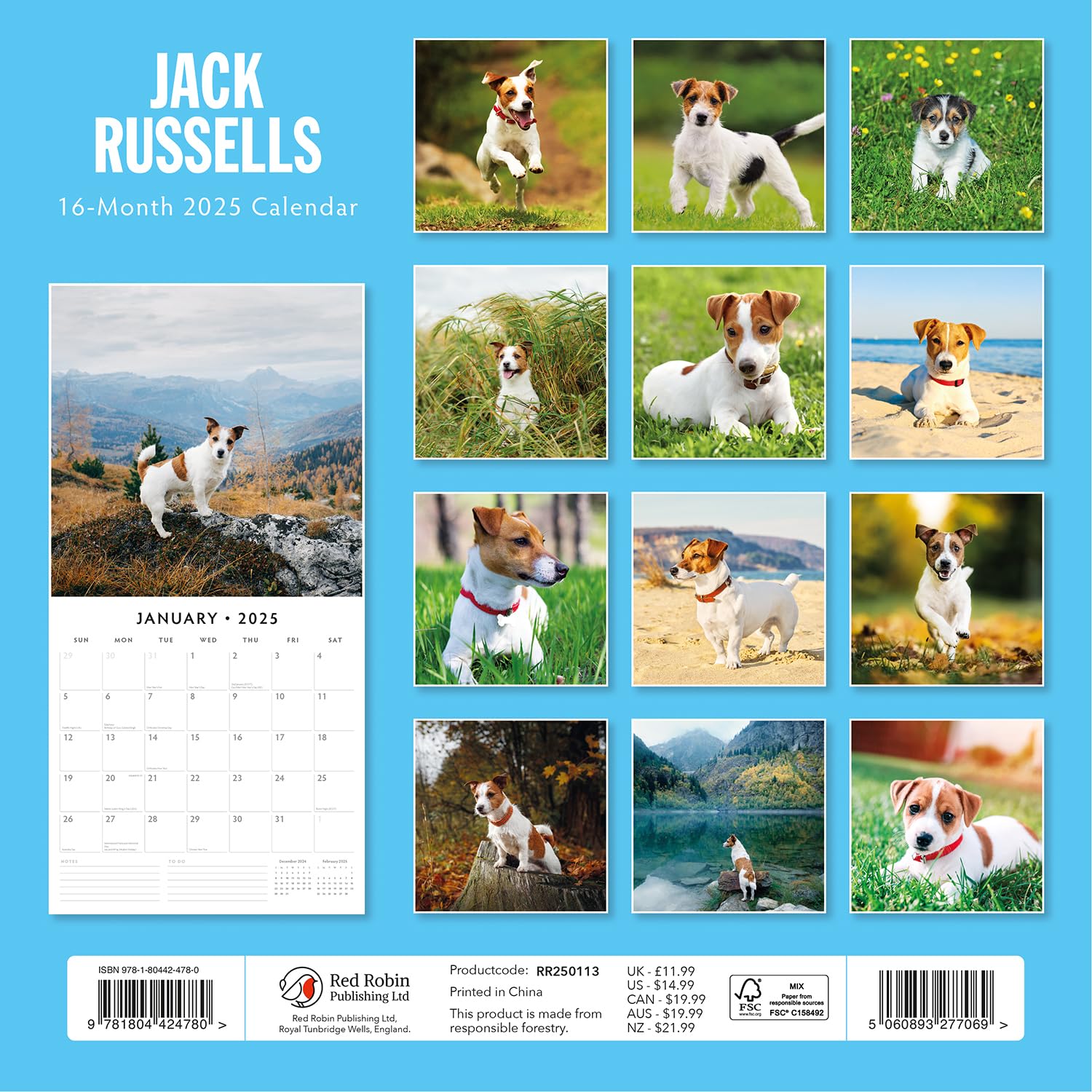 Red Robin 2025 Jack Russells Monthly Wall Calendar | 12" x 24" Open | Premium Thick & Sturdy Paper | Hangable 12 Month Calendar | Plastic Free | 4 Month Transition Page for 2024