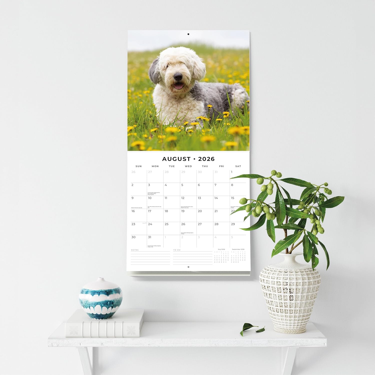 Red Robin 2026 Old English Sheepdogs Monthly Wall Calendar | 12" x 24" Open | Premium Thick & Sturdy Paper | Hangable 12 Month Calendar | Lined Notes & To Do Area | Vivid Images | Plastic Free