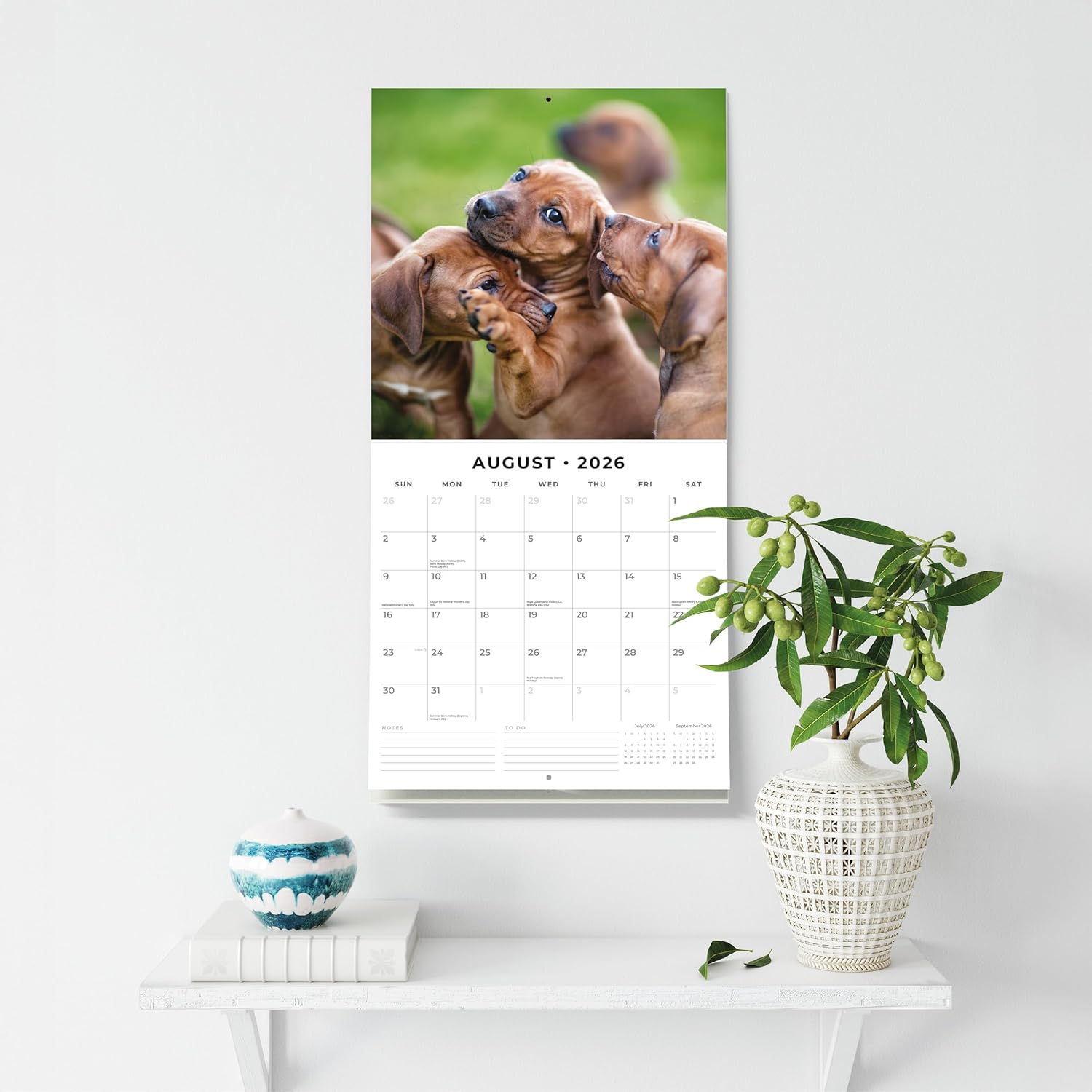 Red Robin 2026 Rhodesian Ridgebacks Monthly Wall Calendar | 12" x 24" Open | Premium Thick & Sturdy Paper | Hangable 12 Month Calendar | Lined Notes & To Do Area | Vivid Images | Plastic Free