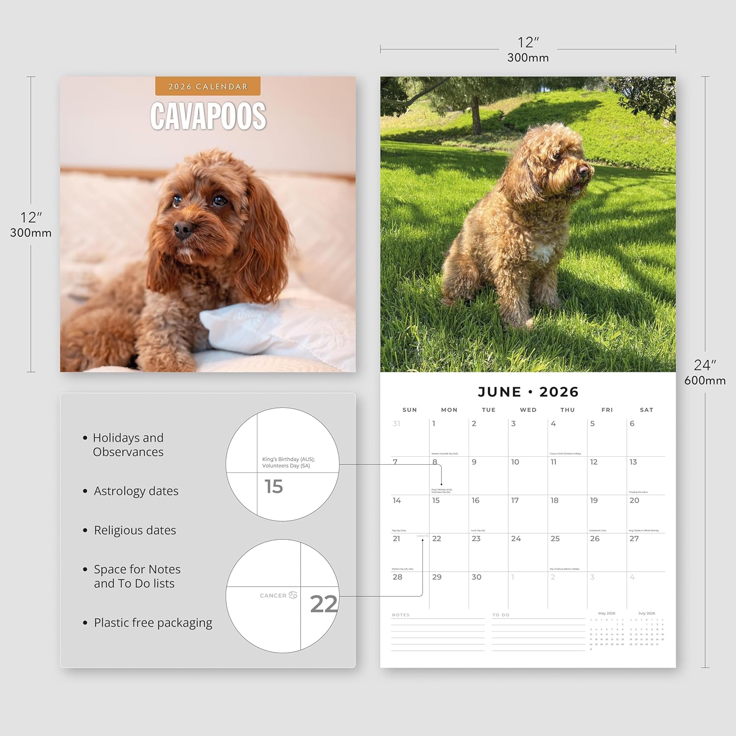 Red Robin 2026 Cavapoos Monthly Wall Calendar | 12" x 24" Open | Premium Thick & Sturdy Paper | Hangable 12 Month Calendar | Lined Notes & To Do Area | Vivid Images | Plastic Free