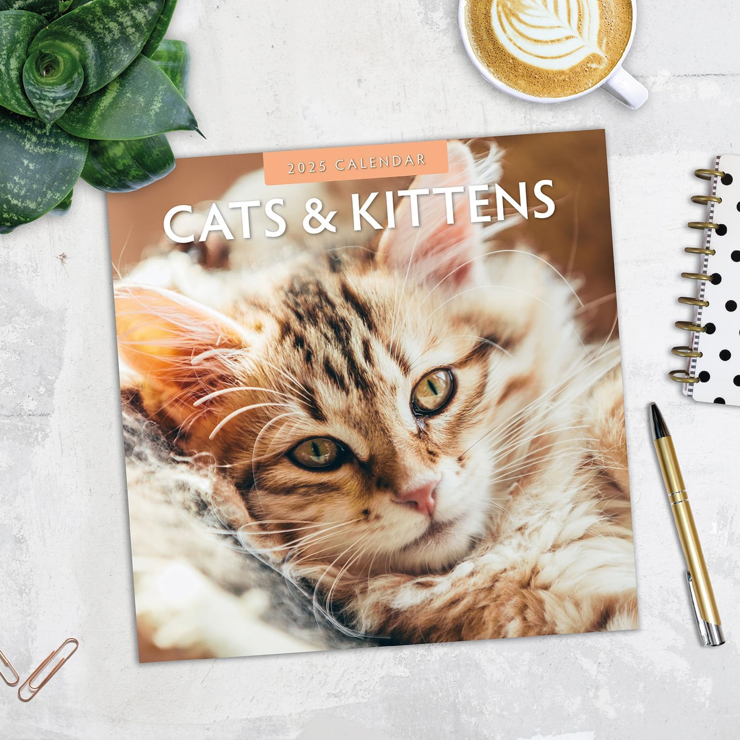 Red Robin 2025 Cats & Kittens Monthly Wall Calendar | 12" x 24" Open | Premium Thick & Sturdy Paper | Hangable 12 Month Calendar | Plastic Free | 4 Month Transition Page for 2024