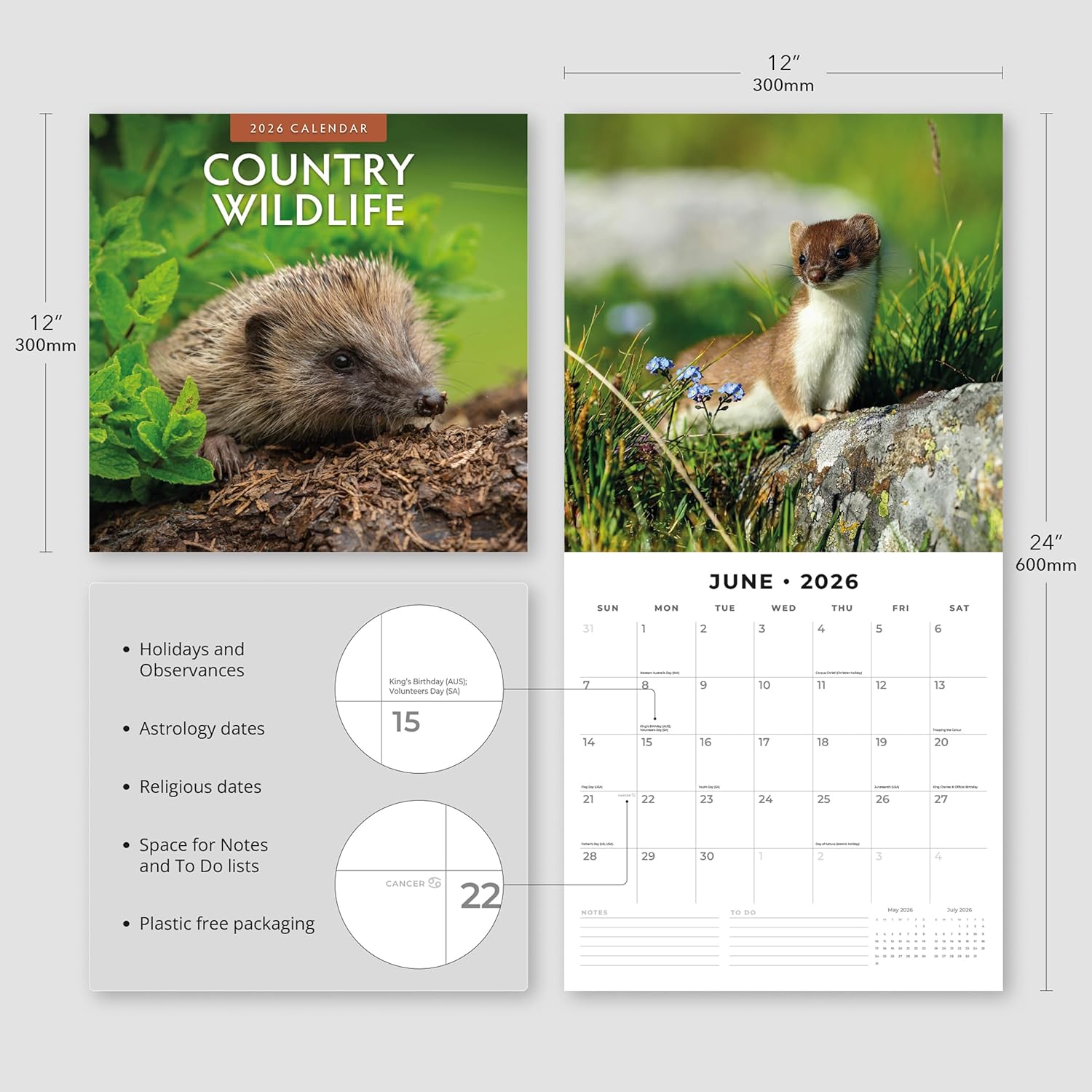 Red Robin 2026 Country Wildlife Monthly Wall Calendar | 12" x 24" Open | Premium Thick & Sturdy Paper | Hangable 12 Month Calendar | Lined Notes & To Do Area | Vivid Images | Plastic Free