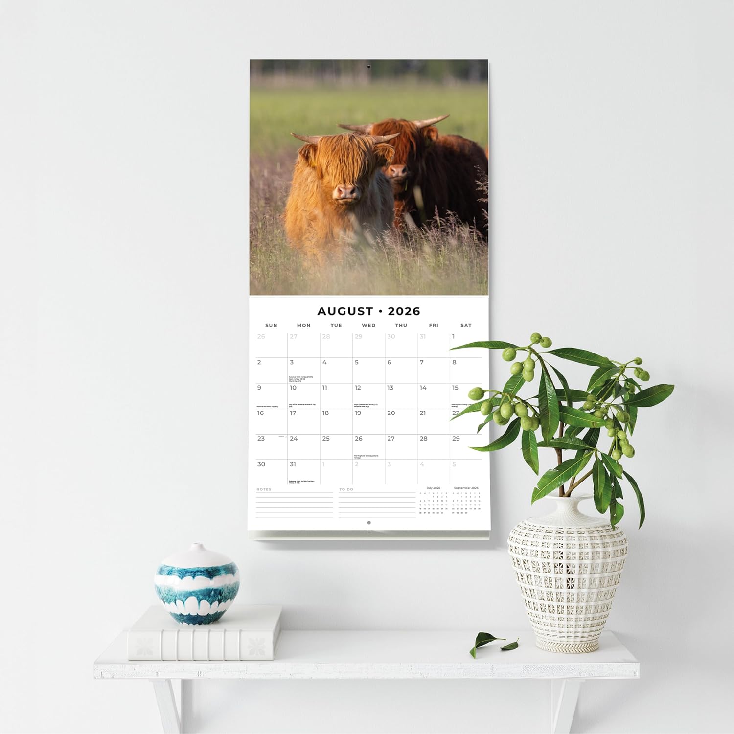 Red Robin 2026 Highland Cows Monthly Wall Calendar | 12" x 24" Open | Premium Thick & Sturdy Paper | Hangable 12 Month Calendar | Lined Notes & To Do Area | Vivid Images | Plastic Free
