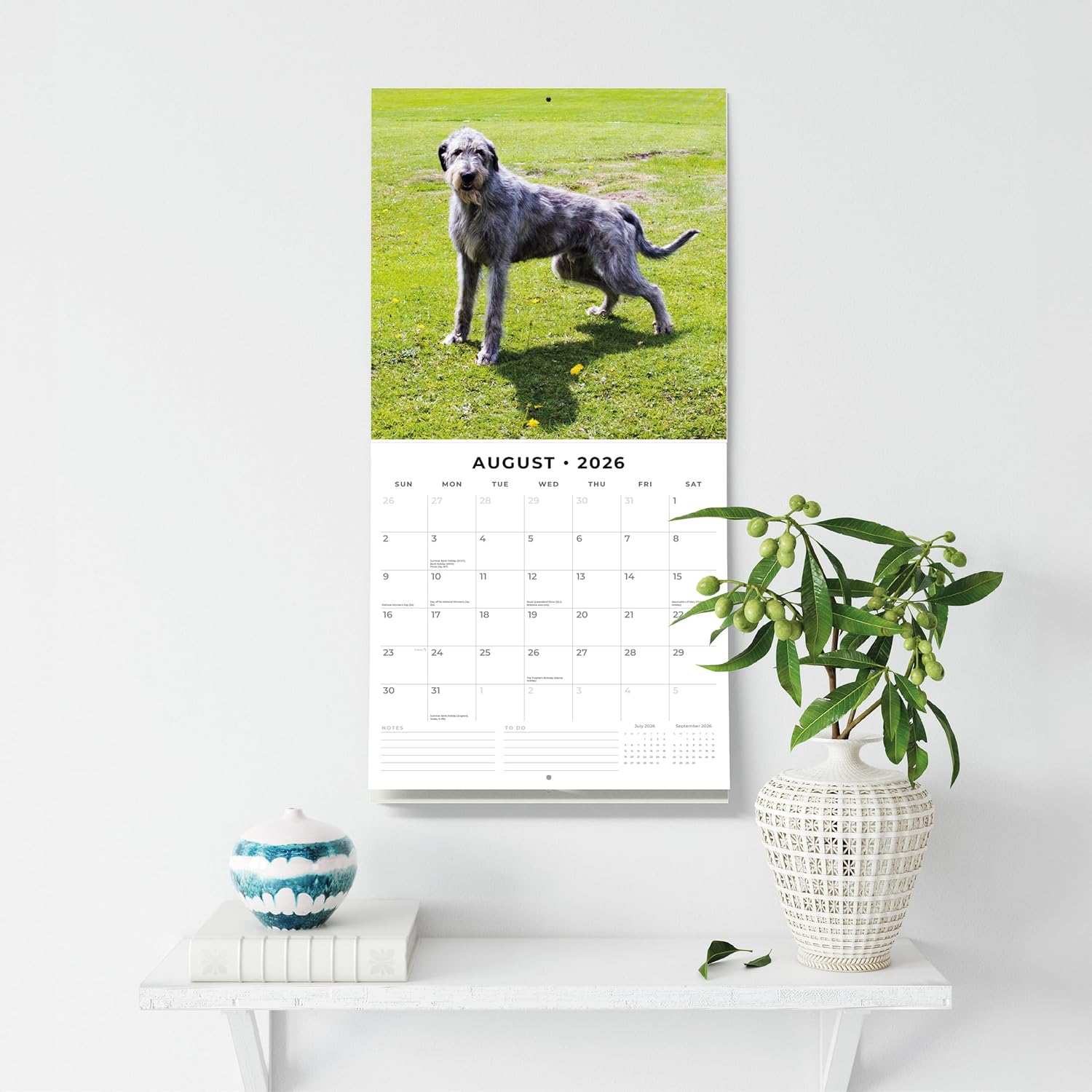 Red Robin 2026 Irish Wolf Hounds Monthly Wall Calendar | 12" x 24" Open | Premium Thick & Sturdy Paper | Hangable 12 Month Calendar | Lined Notes & To Do Area | Vivid Images | Plastic Free