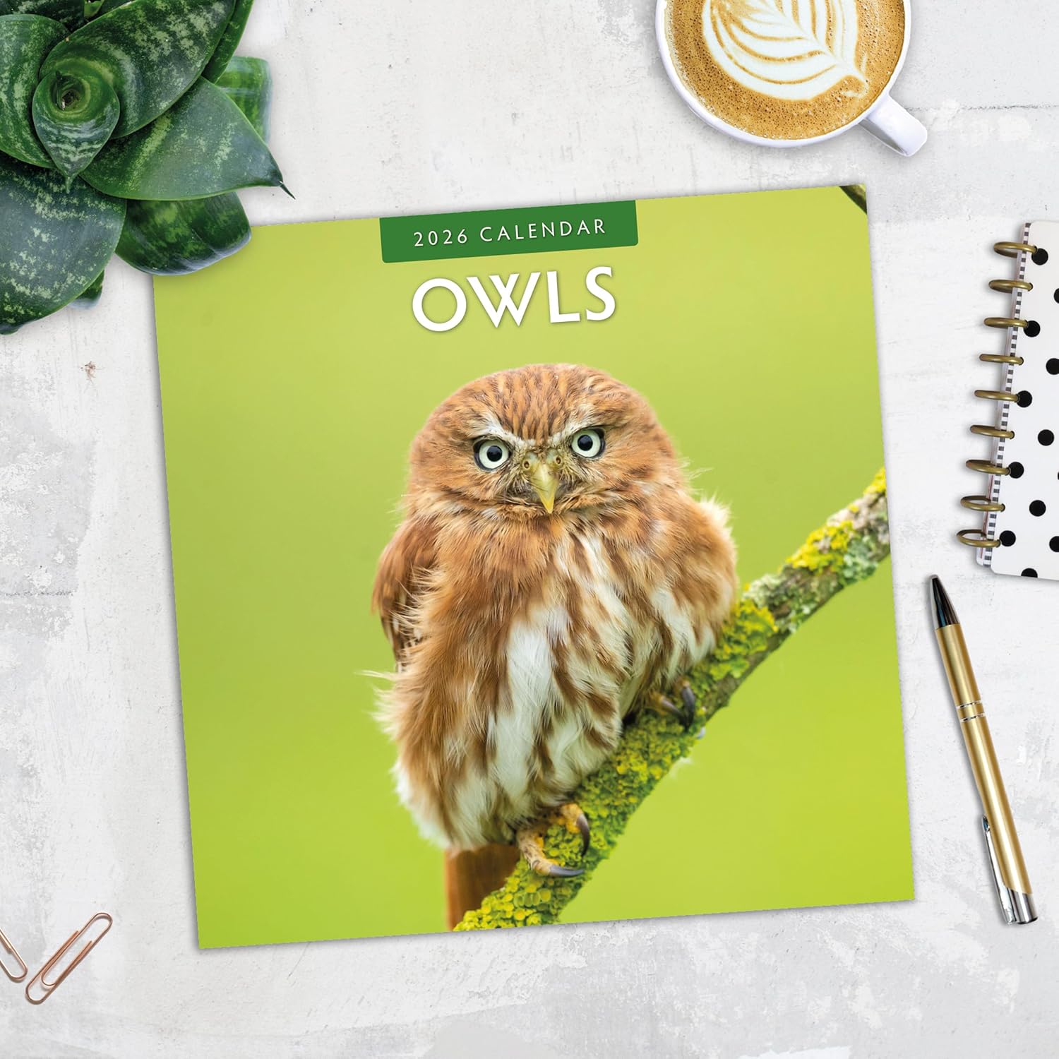 Red Robin 2026 Owls Monthly Wall Calendar | 12" x 24" Open | Premium Thick & Sturdy Paper | Hangable 12 Month Calendar | Lined Notes & To Do Area | Vivid Images | Plastic Free