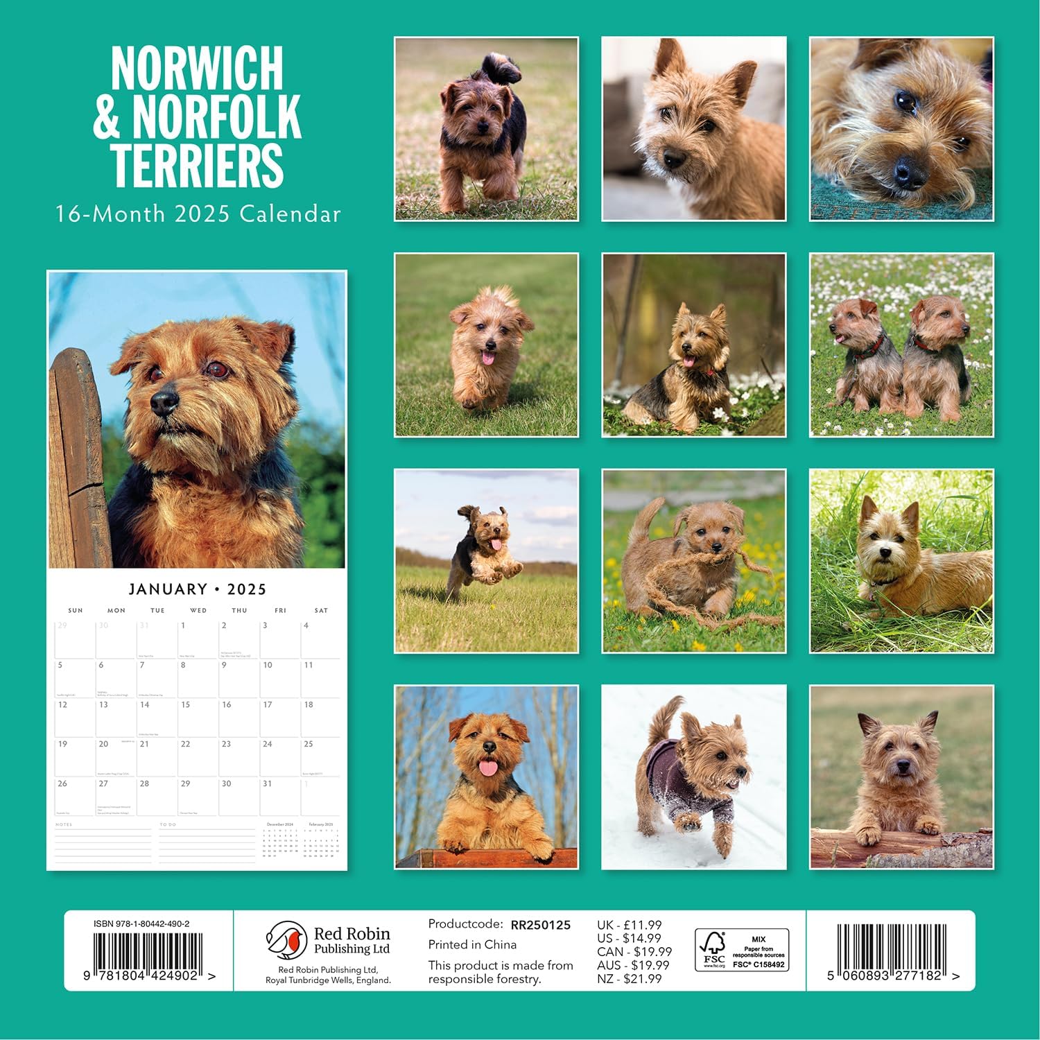 Red Robin 2025 Norwich-/Norfolk Terriers Monthly Wall Calendar | 12" x 24" Open | Premium Thick & Sturdy Paper | Hangable 12 Month Calendar | Plastic Free | 4 Month Transition Page for 2024