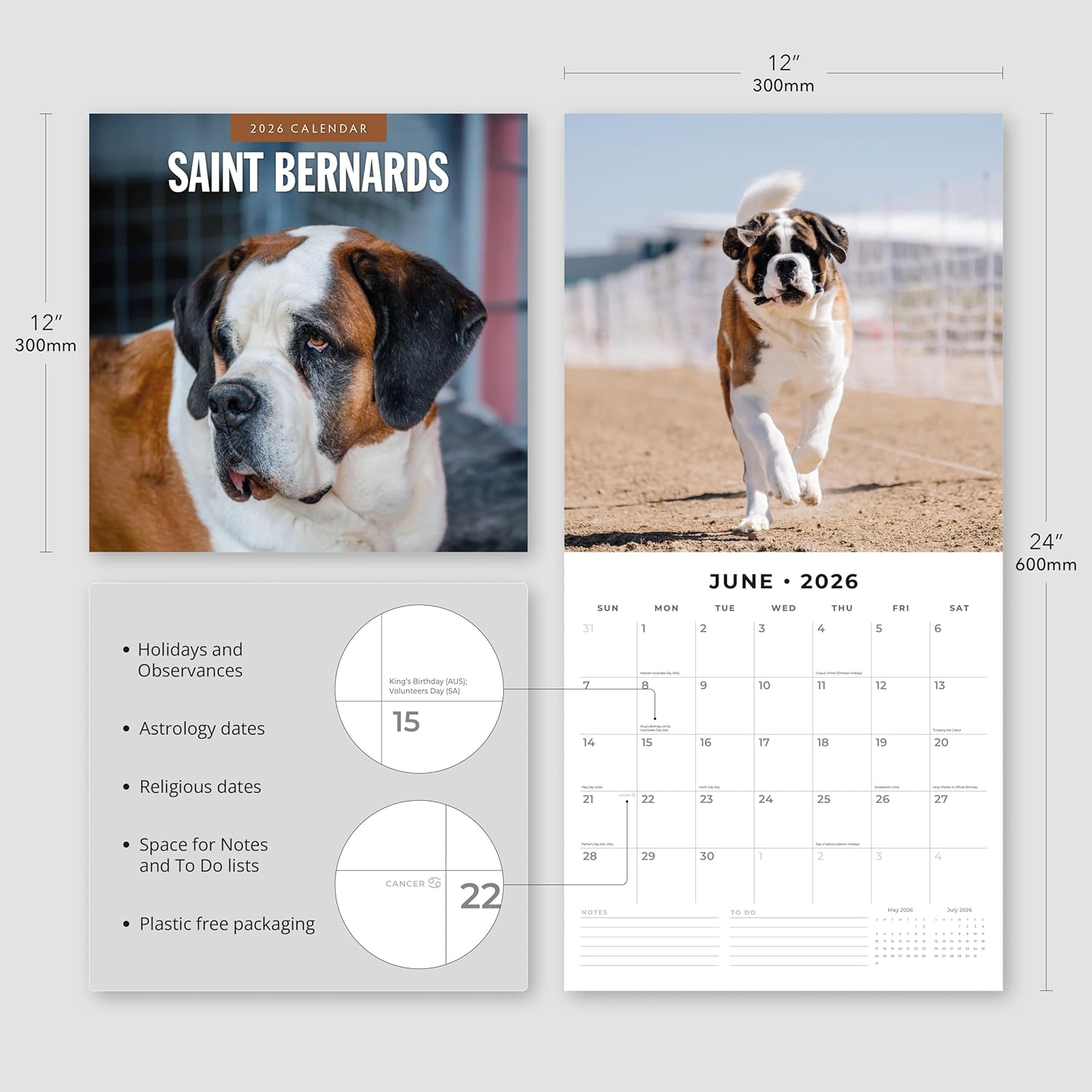 Red Robin 2026 Saint Bernards Monthly Wall Calendar | 12" x 24" Open | Premium Thick & Sturdy Paper | Hangable 12 Month Calendar | Lined Notes & To Do Area | Vivid Images | Plastic Free