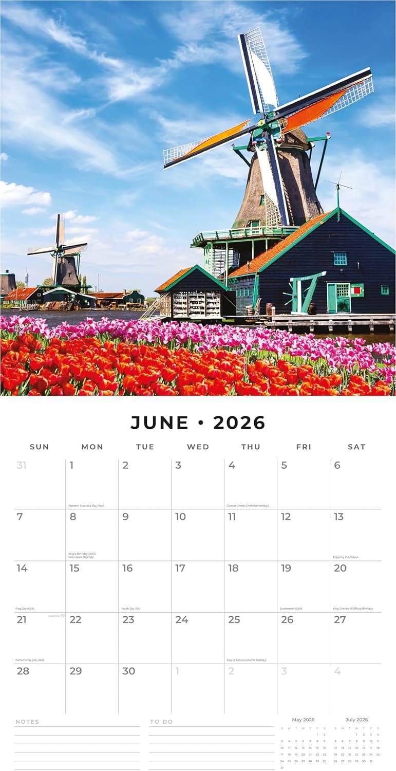 Red Robin 2026 Windmills of Holland Monthly Wall Calendar | 12" x 24" Open | Premium Thick & Sturdy Paper | Hangable 12 Month Calendar | Lined Notes & To Do Area | Vivid Images | Plastic Free