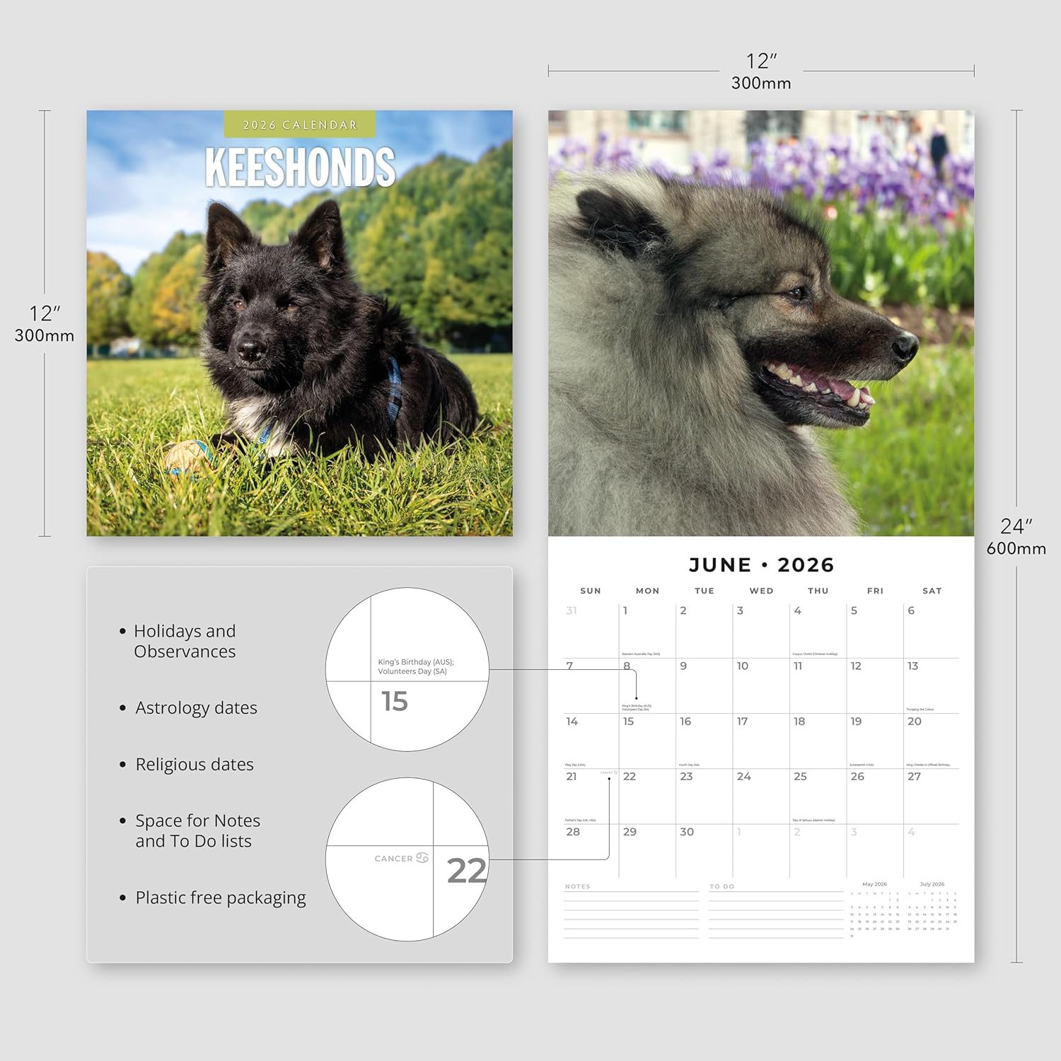 Red Robin 2026 Keeshonds Monthly Wall Calendar | 12" x 24" Open | Premium Thick & Sturdy Paper | Hangable 12 Month Calendar | Lined Notes & To Do Area | Vivid Images | Plastic Free
