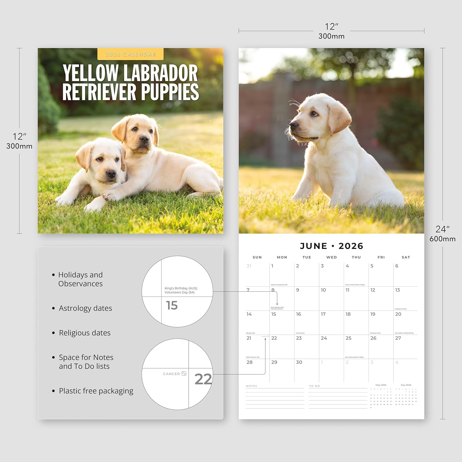 Red Robin 2026 Yellow Labradors Monthly Wall Calendar | 12" x 24" Open | Premium Thick & Sturdy Paper | Hangable 12 Month Calendar | Lined Notes & To Do Area | Vivid Images | Plastic Free