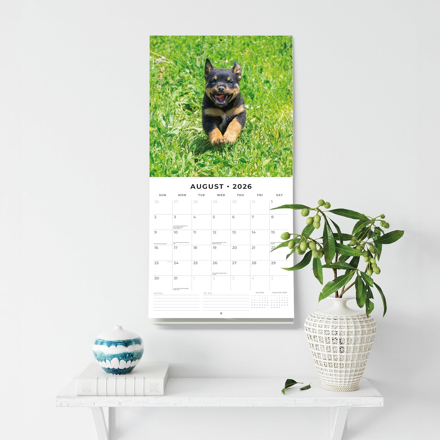 Red Robin 2026 Rottweiler Puppies Monthly Wall Calendar | 12" x 24" Open | Premium Thick & Sturdy Paper | Hangable 12 Month Calendar | Lined Notes & To Do Area | Vivid Images | Plastic Free