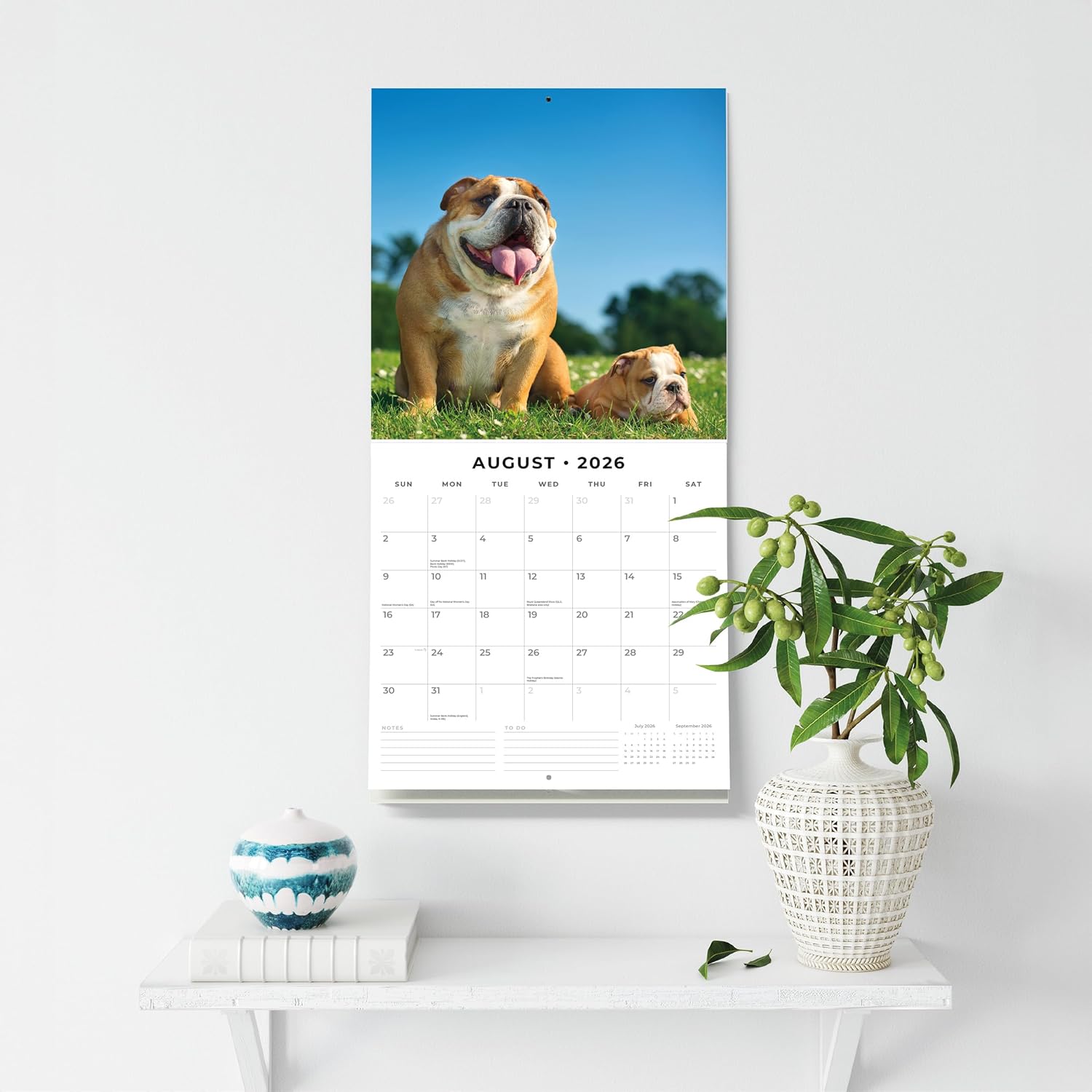 Red Robin 2026 Bulldogs Monthly Wall Calendar | 12" x 24" Open | Premium Thick & Sturdy Paper | Hangable 12 Month Calendar | Lined Notes & To Do Area | Vivid Images | Plastic Free