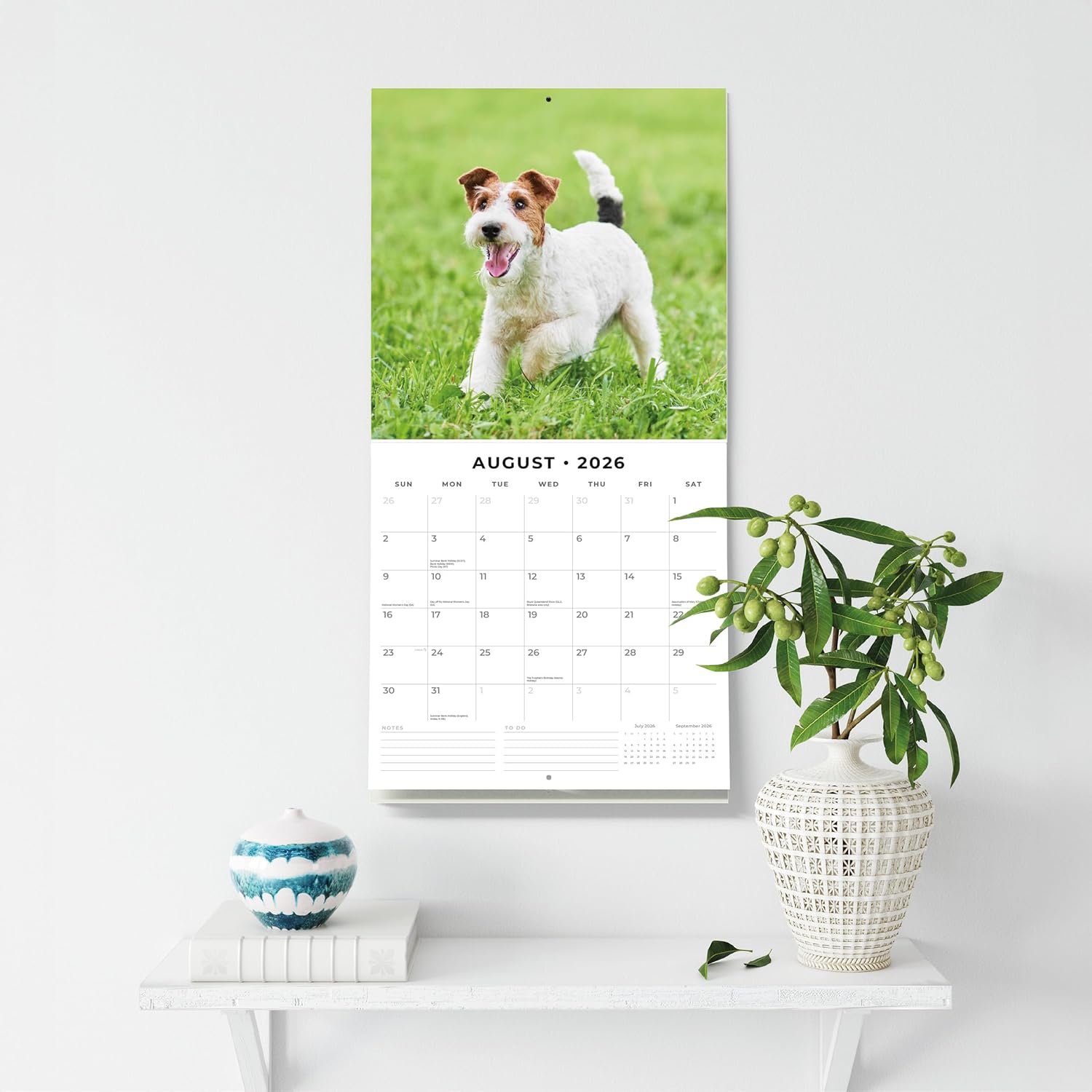Red Robin 2026 Wire Fox Terriers Monthly Wall Calendar | 12" x 24" Open | Premium Thick & Sturdy Paper | Hangable 12 Month Calendar | Lined Notes & To Do Area | Vivid Images | Plastic Free