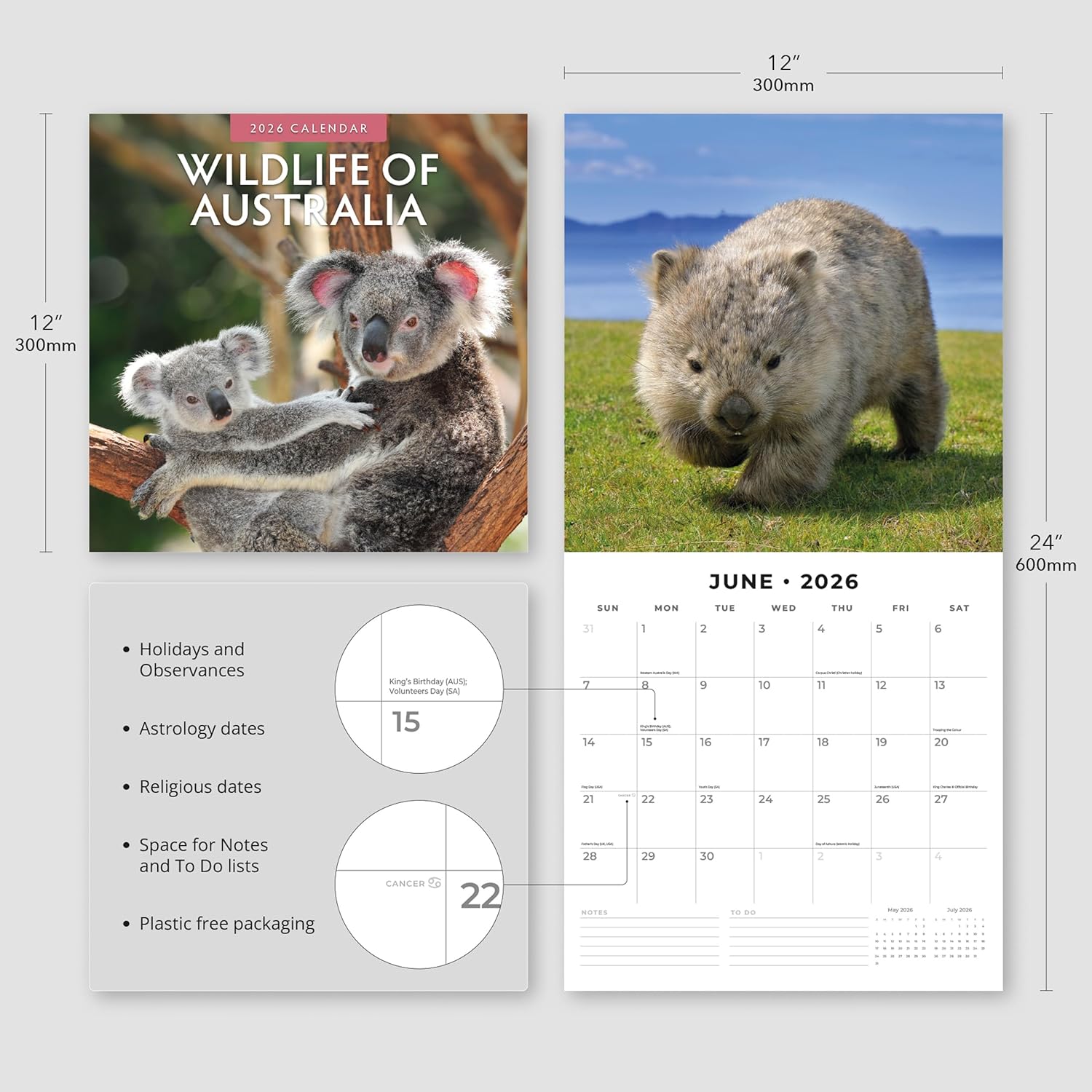 Red Robin 2026 Wildlife of Australia Monthly Wall Calendar | 12" x 24" Open | Premium Thick & Sturdy Paper | Hangable 12 Month Calendar | Lined Notes & To Do Area | Vivid Images | Plastic Free