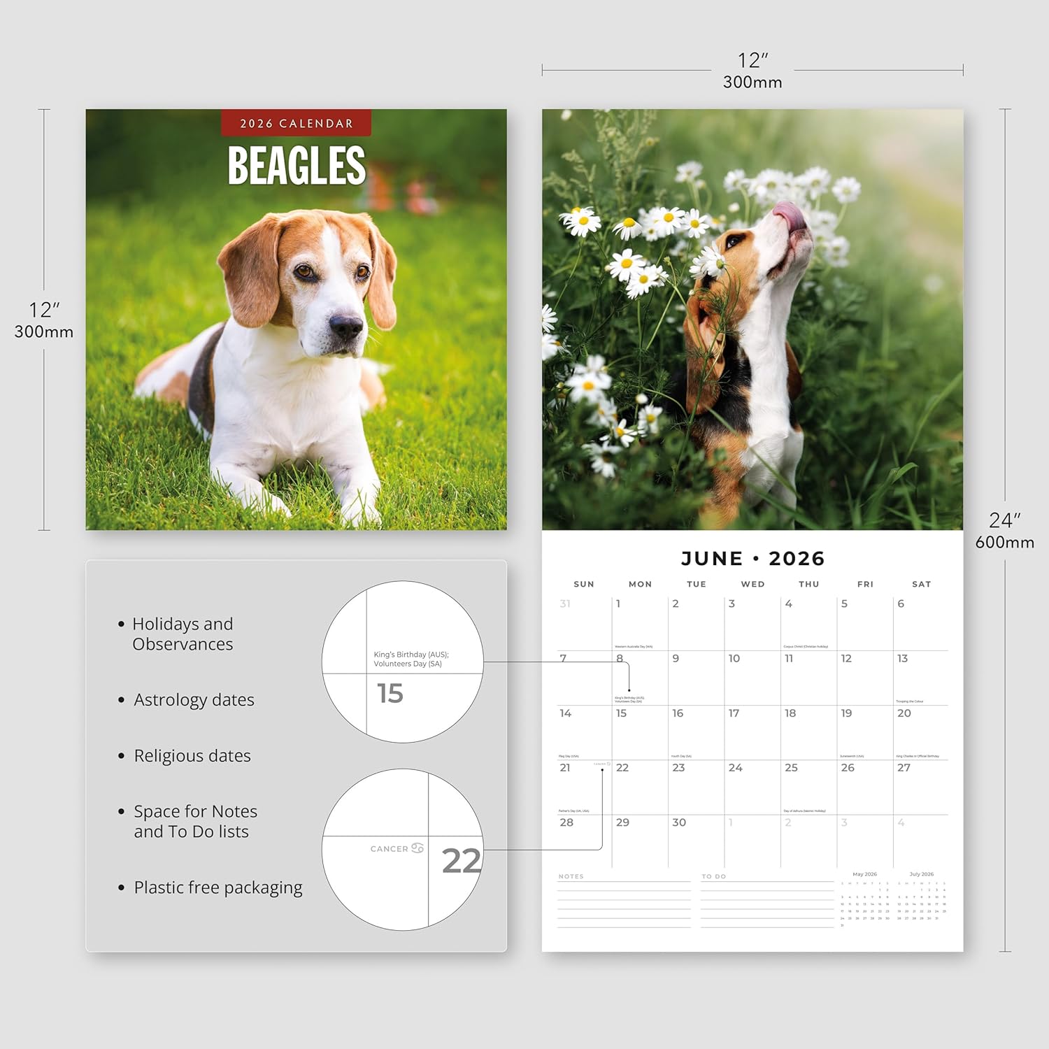 Red Robin 2026 Beagles Monthly Wall Calendar | 12" x 24" Open | Premium Thick & Sturdy Paper | Hangable 12 Month Calendar | Lined Notes & To Do Area | Vivid Images | Plastic Free