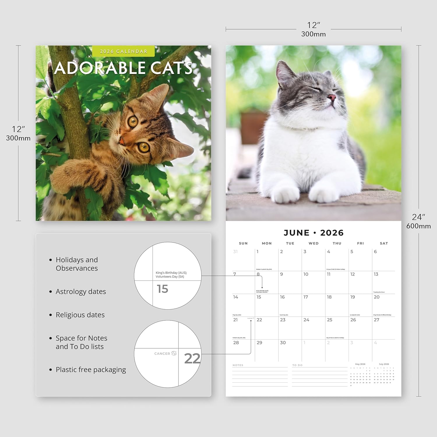 Adorable Cats - 2026 Square Wall Calendar - by Red Robin Publishing