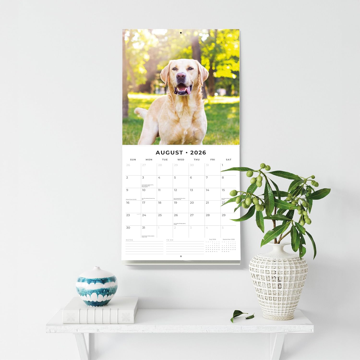 Red Robin 2026 Labradors Monthly Wall Calendar | 12" x 24" Open | Premium Thick & Sturdy Paper | Hangable 12 Month Calendar | Lined Notes & To Do Area | Vivid Images | Plastic Free