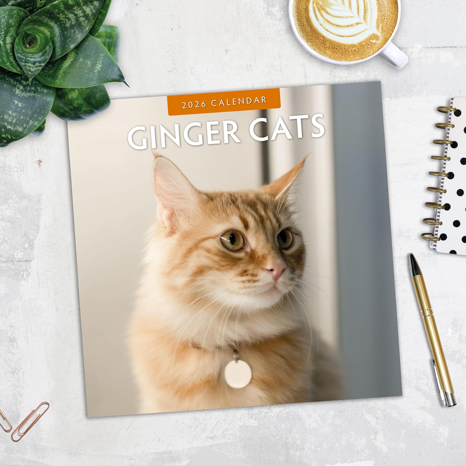 Red Robin 2026 Ginger Cats Monthly Wall Calendar | 12" x 24" Open | Premium Thick & Sturdy Paper | Hangable 12 Month Calendar | Lined Notes & To Do Area | Vivid Images | Plastic Free