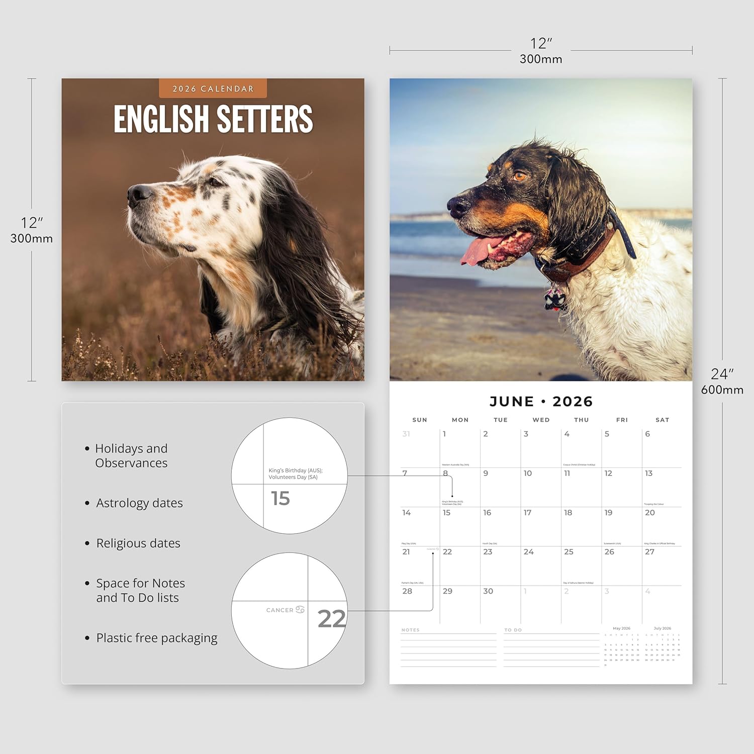 Red Robin 2026 English Setters Monthly Wall Calendar | 12" x 24" Open | Premium Thick & Sturdy Paper | Hangable 12 Month Calendar | Lined Notes & To Do Area | Vivid Images | Plastic Free