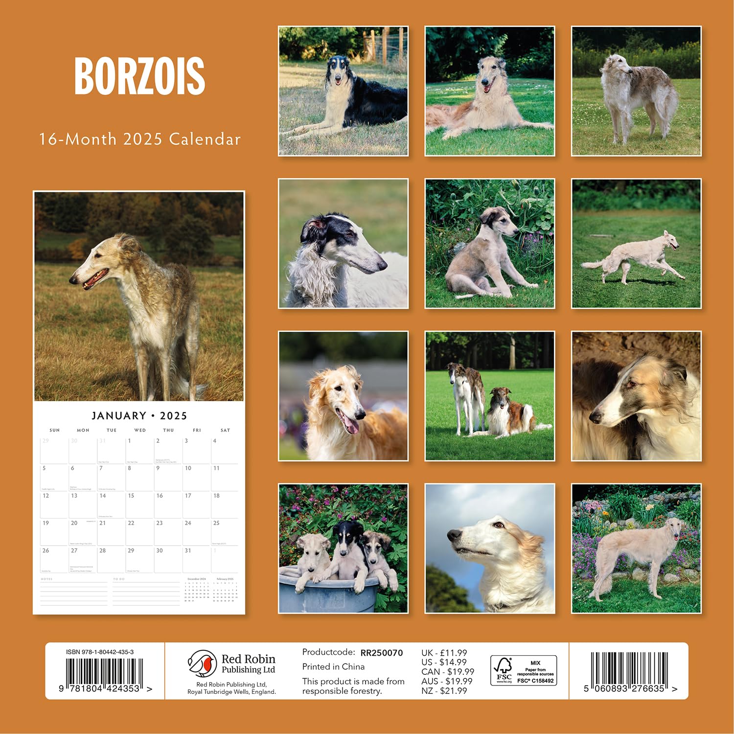 Red Robin 2025 Borzois Monthly Wall Calendar | 12" x 24" Open | Premium Thick & Sturdy Paper | Hangable 12 Month Calendar | Plastic Free | 4 Month Transition Page for 2024