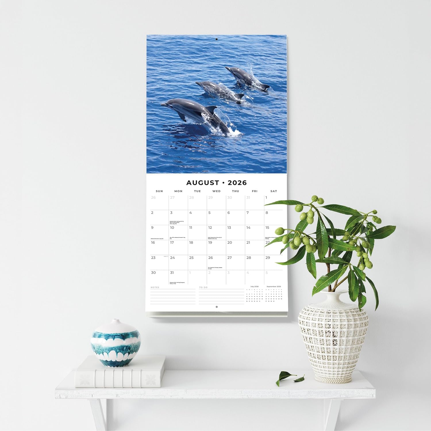 Red Robin 2026 Dolphins Monthly Wall Calendar | 12" x 24" Open | Premium Thick & Sturdy Paper | Hangable 12 Month Calendar | Lined Notes & To Do Area | Vivid Images | Plastic Free