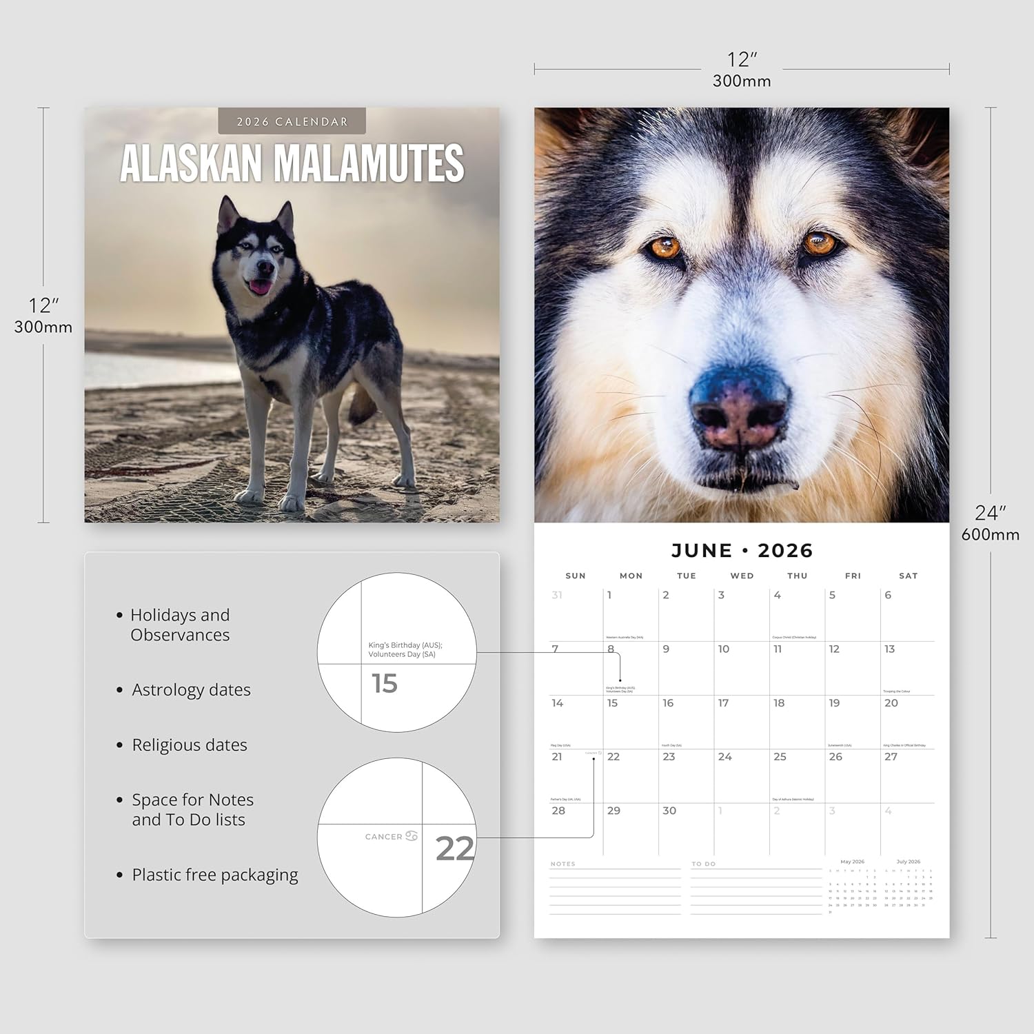 Red Robin 2026 Alaskan Malamutes Monthly Wall Calendar | 12" x 24" Open | Premium Thick & Sturdy Paper | Hangable 12 Month Calendar | Lined Notes & To Do Area | Vivid Images | Plastic Free