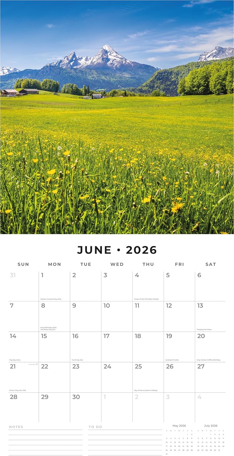 Red Robin 2026 Seasons Monthly Wall Calendar | 12" x 24" Open | Premium Thick & Sturdy Paper | Hangable 12 Month Calendar | Lined Notes & To Do Area | Vivid Images | Plastic Free