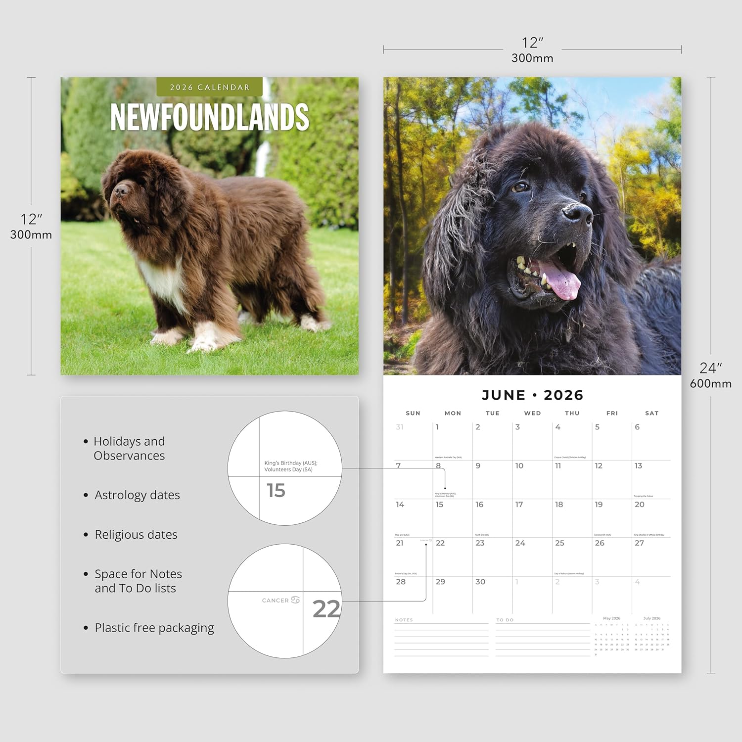 Red Robin 2026 Newfoundlands Monthly Wall Calendar | 12" x 24" Open | Premium Thick & Sturdy Paper | Hangable 12 Month Calendar | Lined Notes & To Do Area | Vivid Images | Plastic Free
