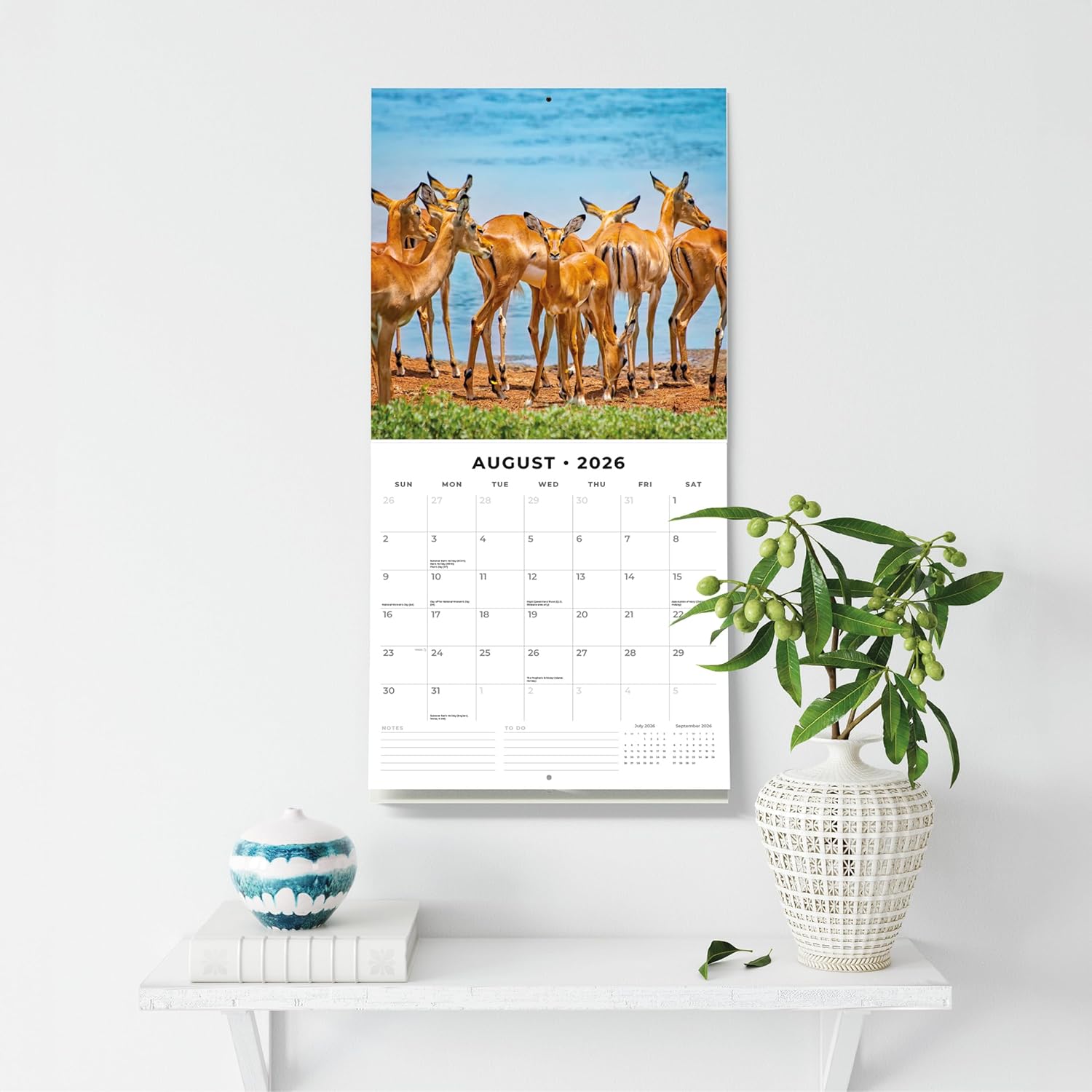 Red Robin 2026 Safari Monthly Wall Calendar | 12" x 24" Open | Premium Thick & Sturdy Paper | Hangable 12 Month Calendar | Lined Notes & To Do Area | Vivid Images | Plastic Free