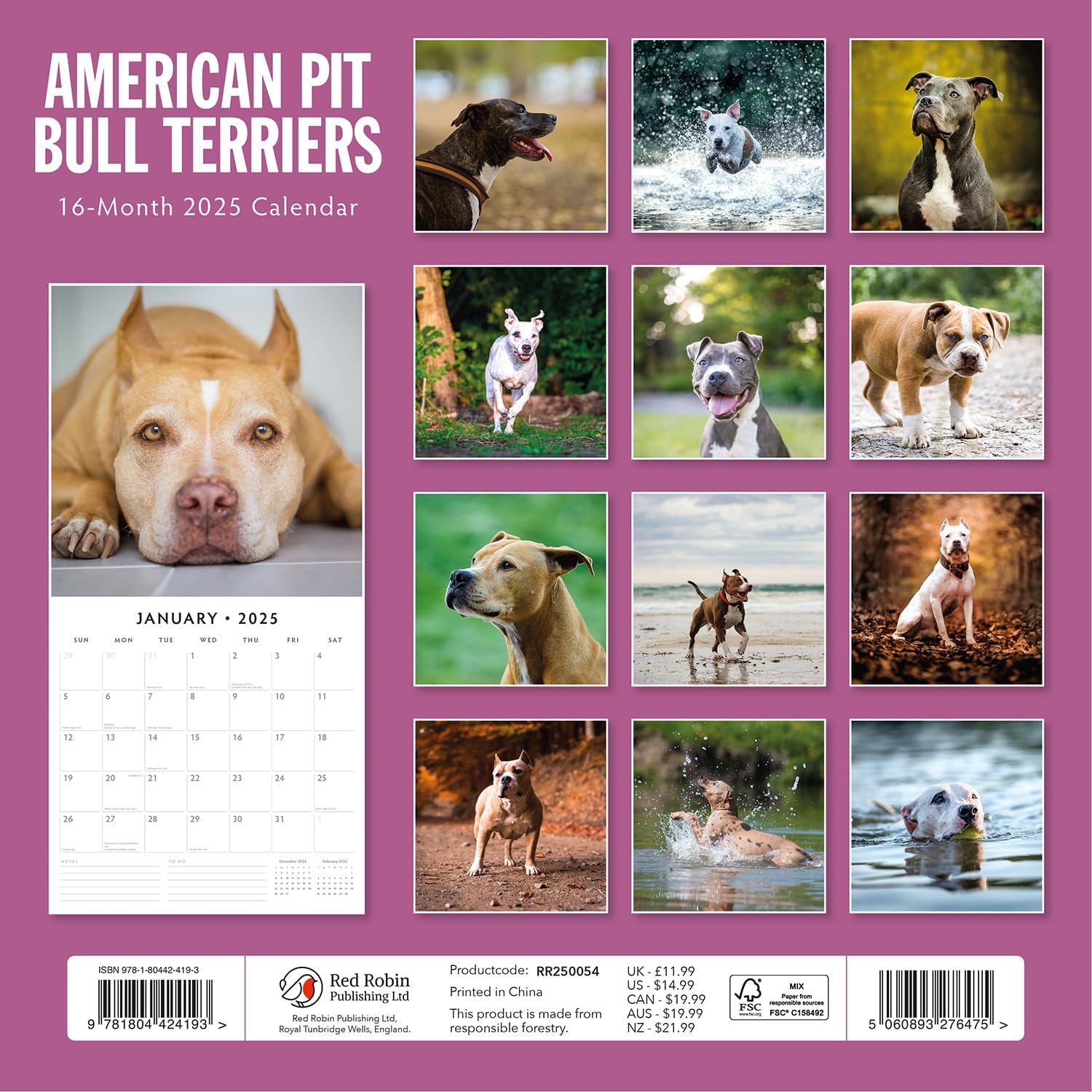 Red Robin 2025 American Pit Bull Terriers Monthly Wall Calendar | 12" x 24" Open | Premium Thick & Sturdy Paper | Hangable 12 Month Calendar | Plastic Free | 4 Month Transition Page for 2024