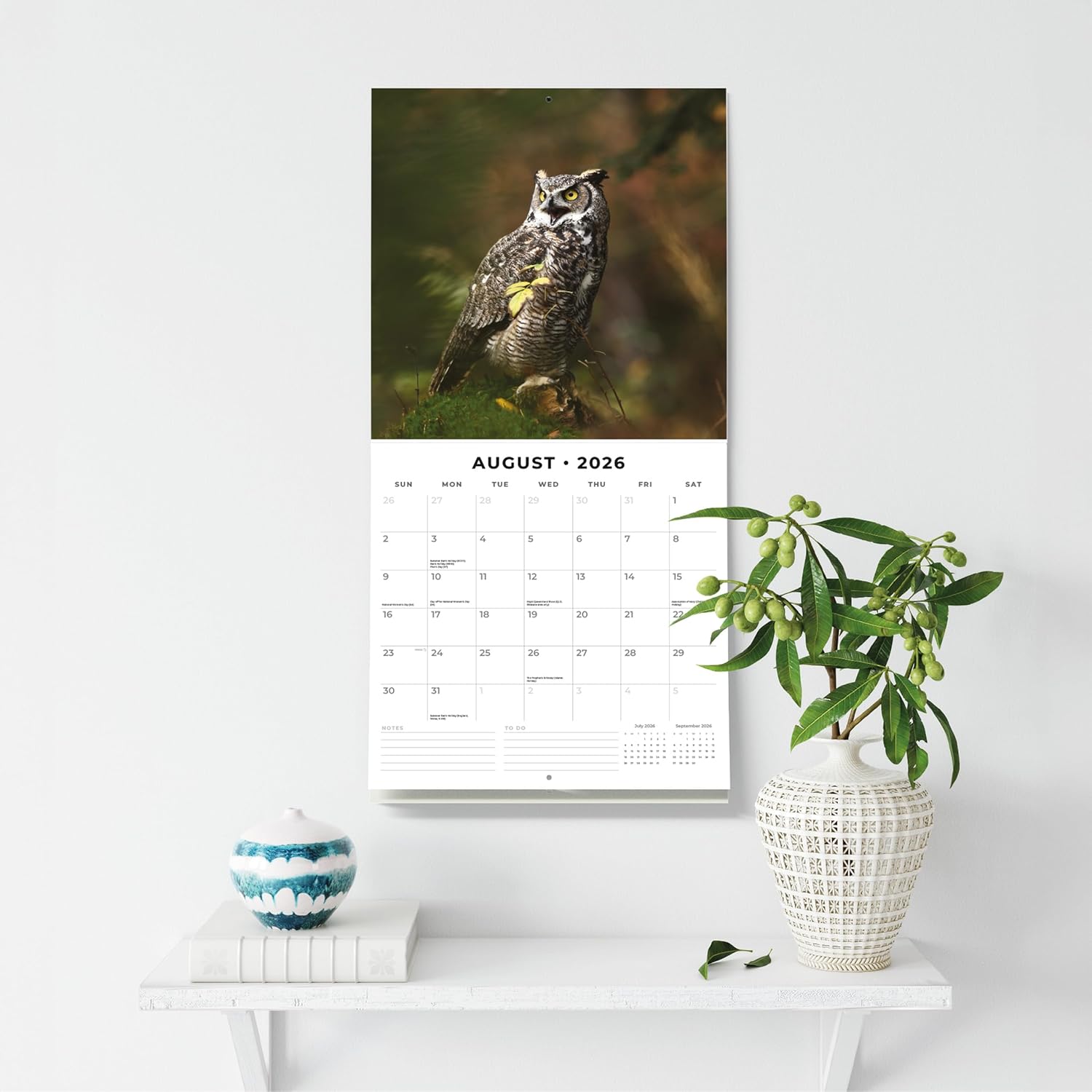 Red Robin 2026 Owls Monthly Wall Calendar | 12" x 24" Open | Premium Thick & Sturdy Paper | Hangable 12 Month Calendar | Lined Notes & To Do Area | Vivid Images | Plastic Free