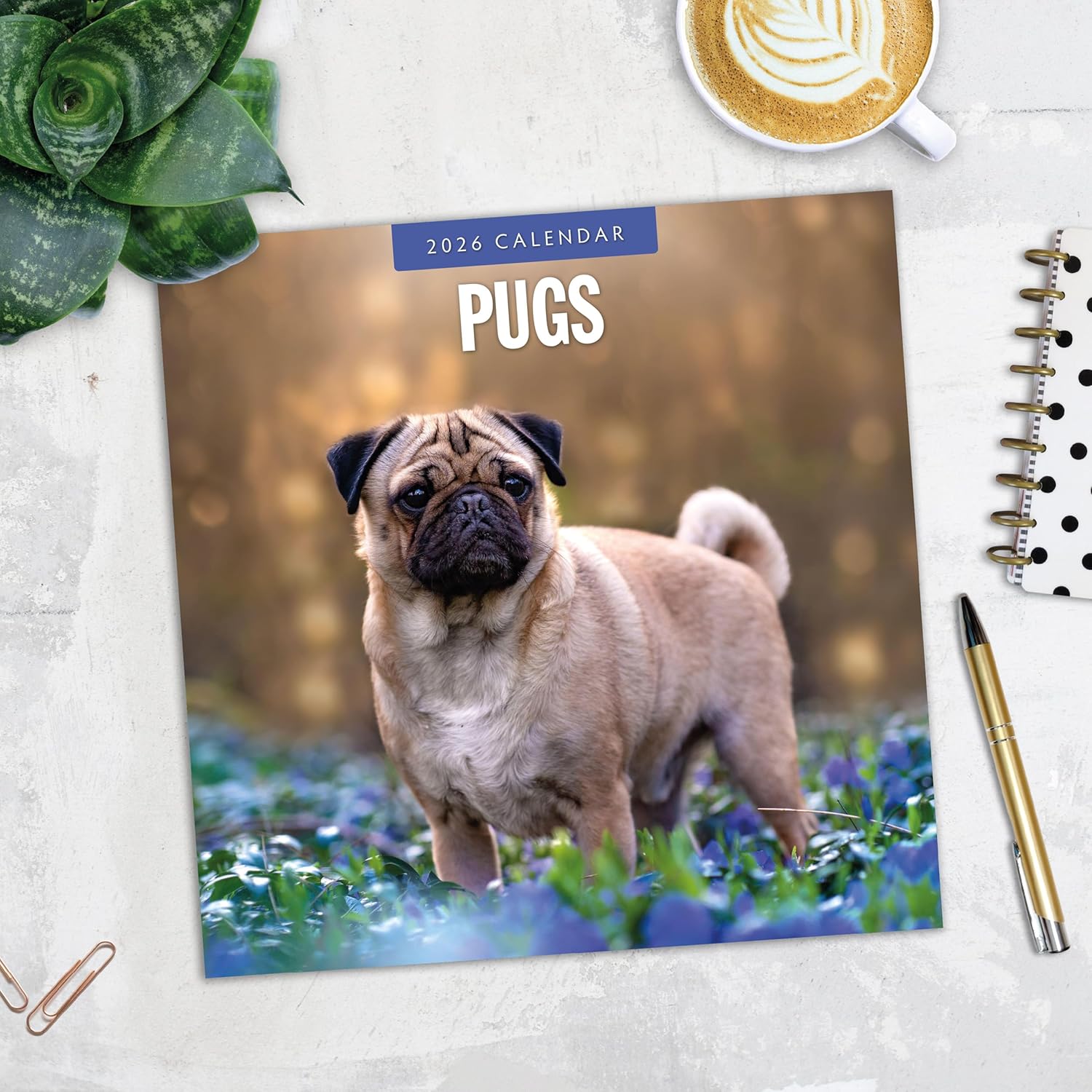 Red Robin 2026 Pugs Monthly Wall Calendar | 12" x 24" Open | Premium Thick & Sturdy Paper | Hangable 12 Month Calendar | Lined Notes & To Do Area | Vivid Images | Plastic Free