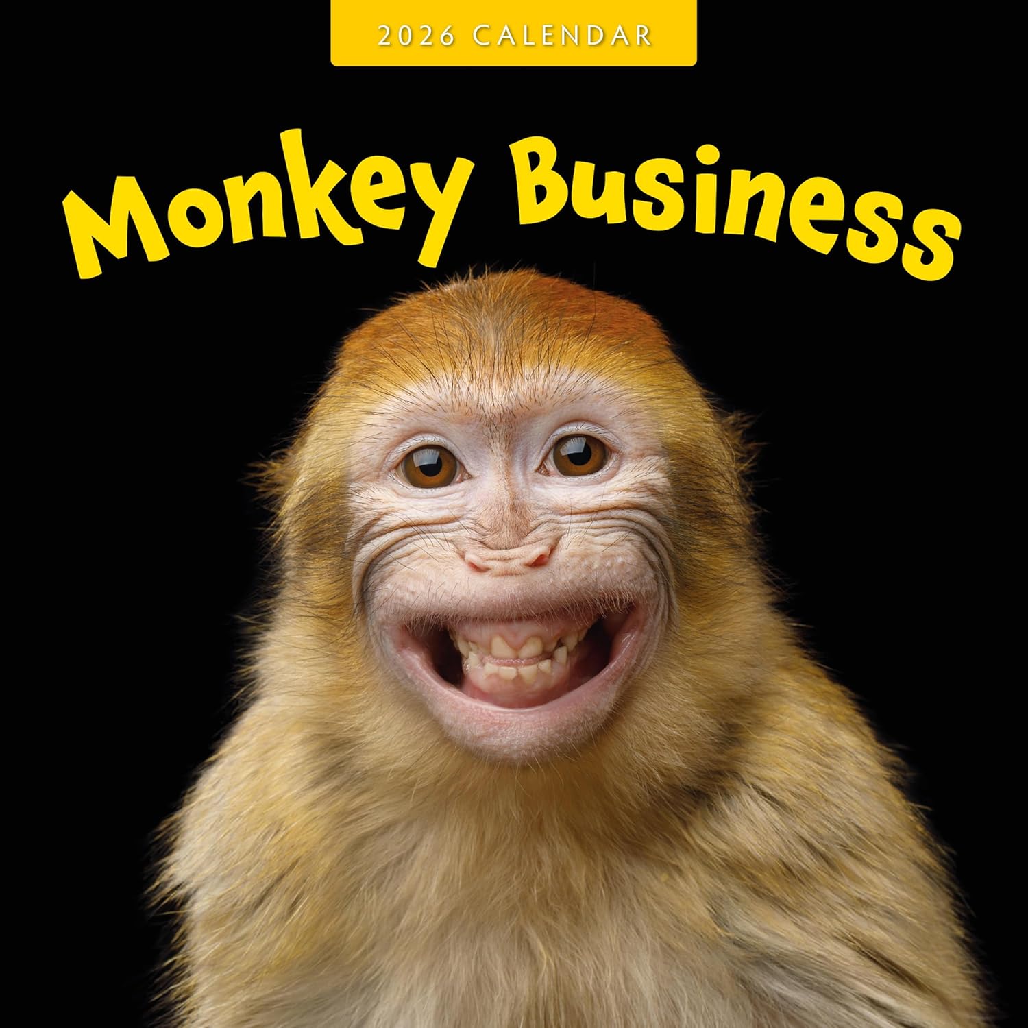 Red Robin 2026 Monkey Business Monthly Wall Calendar | 12" x 24" Open | Premium Thick & Sturdy Paper | Hangable 12 Month Calendar | Lined Notes & To Do Area | Vivid Images | Plastic Free